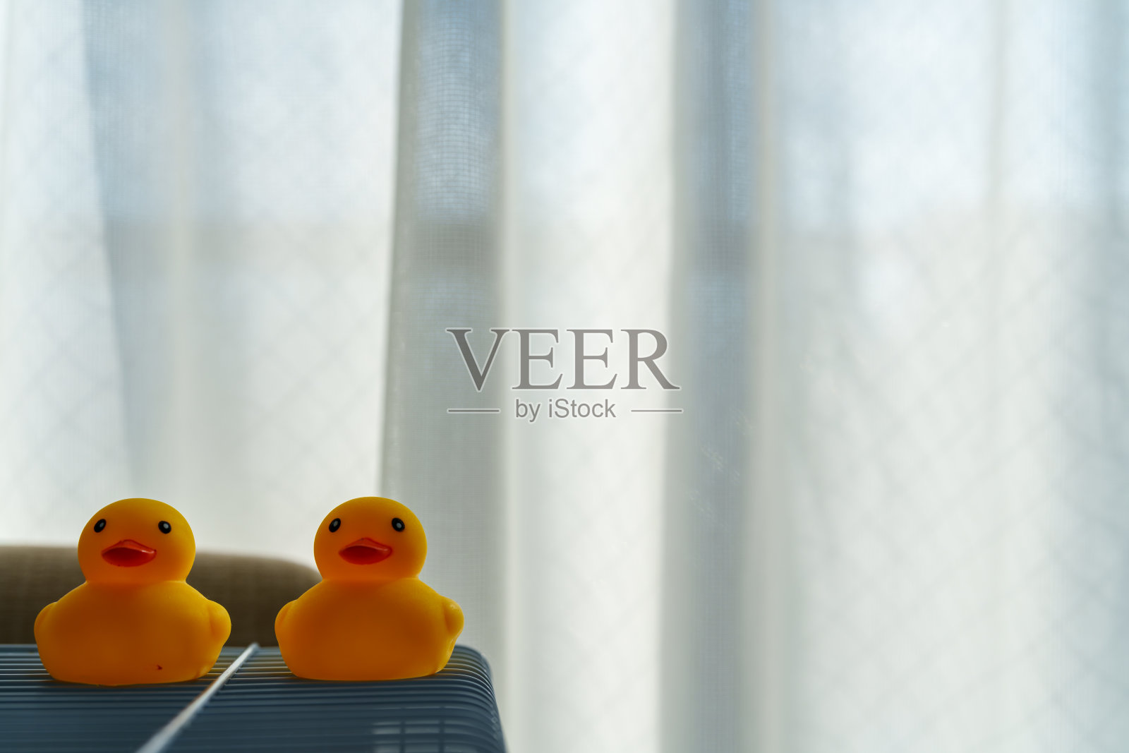 展示两个橡胶小鸡玩具并排放在鸟笼上的材料。照片摄影图片