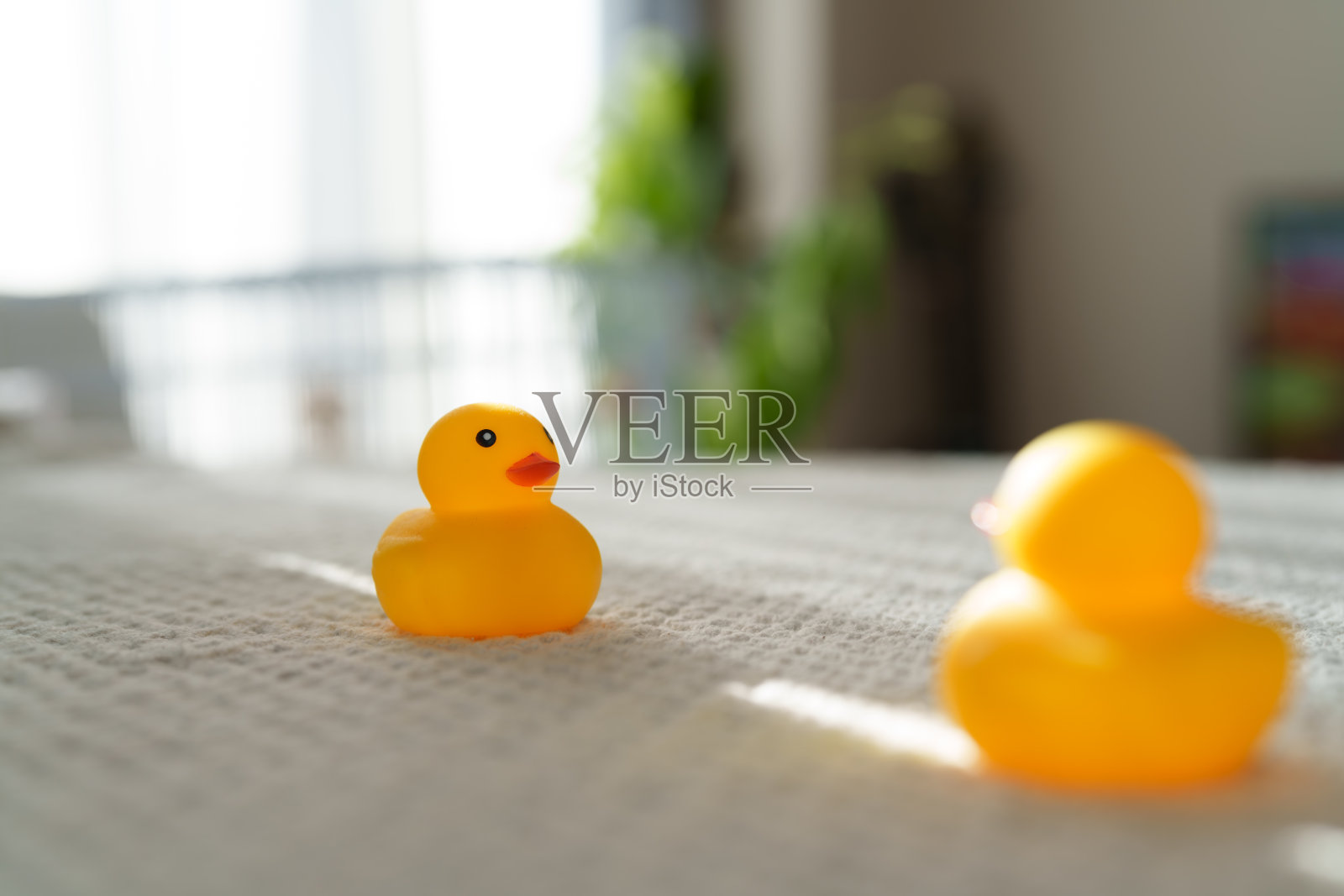 桌子上并排放着两个橡胶小鸡玩偶。照片摄影图片