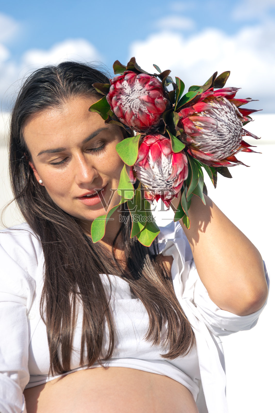 孕妇与南非王花。风格与怀孕的概念。照片摄影图片