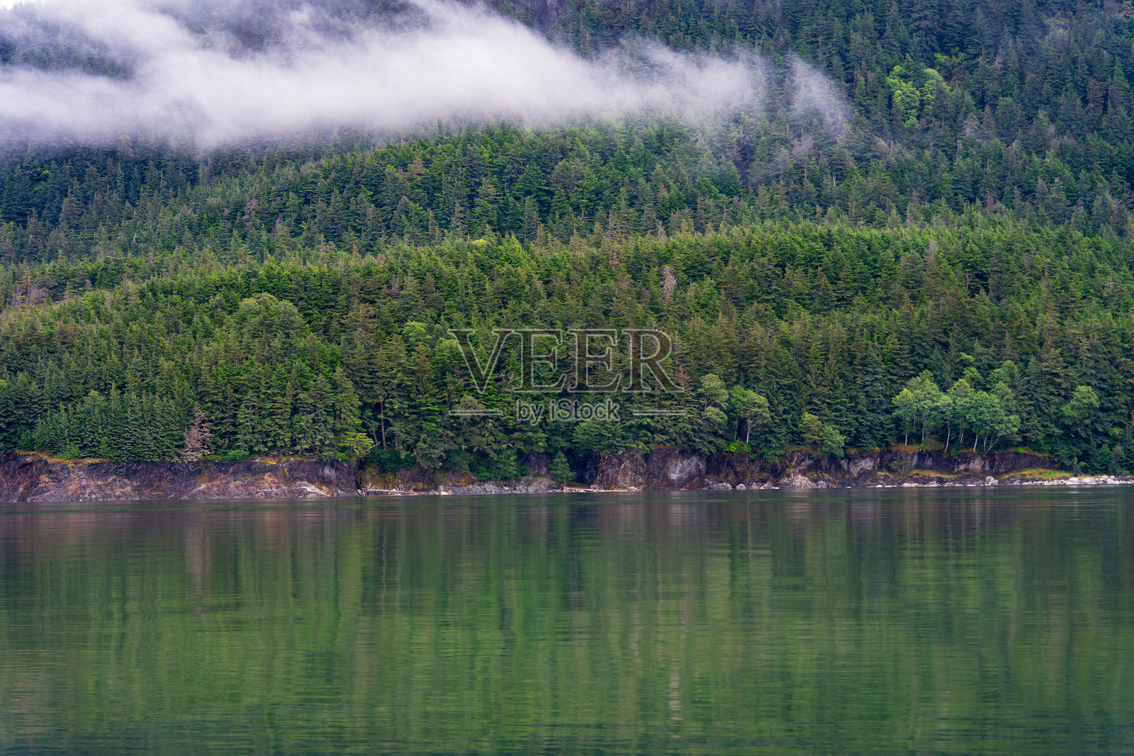 阿拉斯加朱诺附近宁静海水的绿色森林景观照片摄影图片