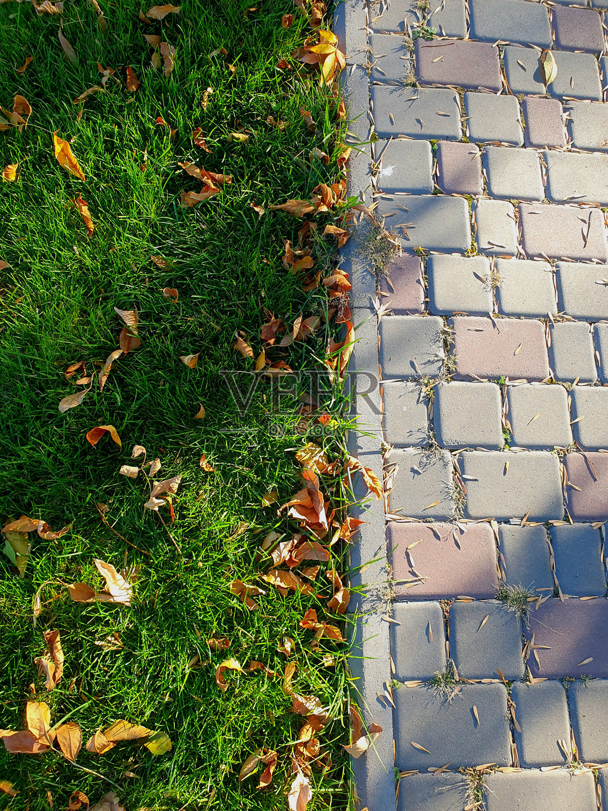 阳光明媚的日子里,绿色的草地上有黄色的叶子和灰色的道路。照片摄影图片