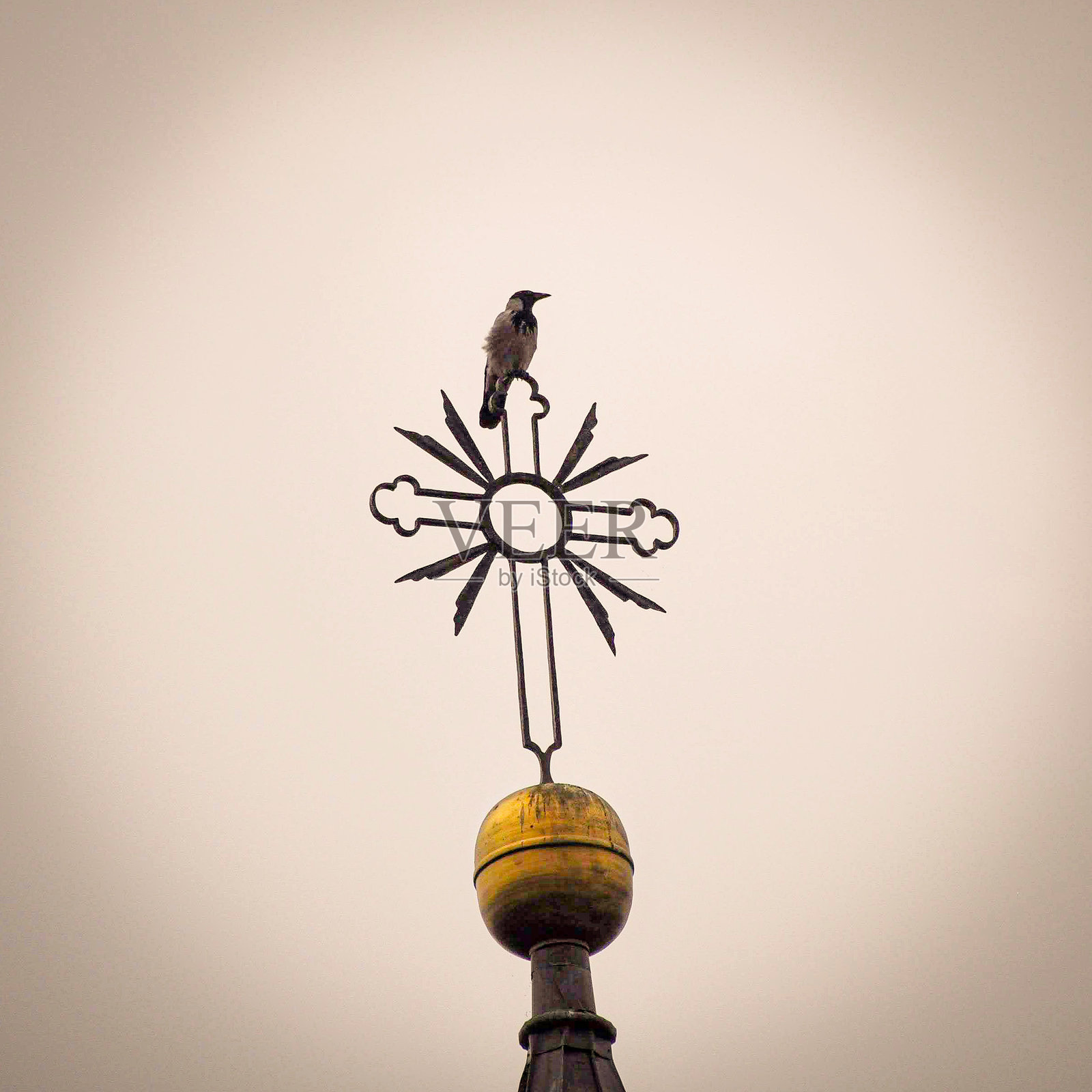 教堂上的鸟照片摄影图片