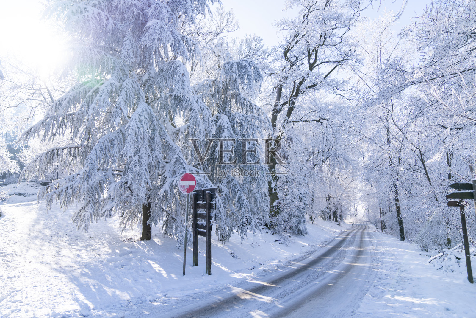 公园里雪覆盖的树木冬季景观。冬季道路。照片摄影图片