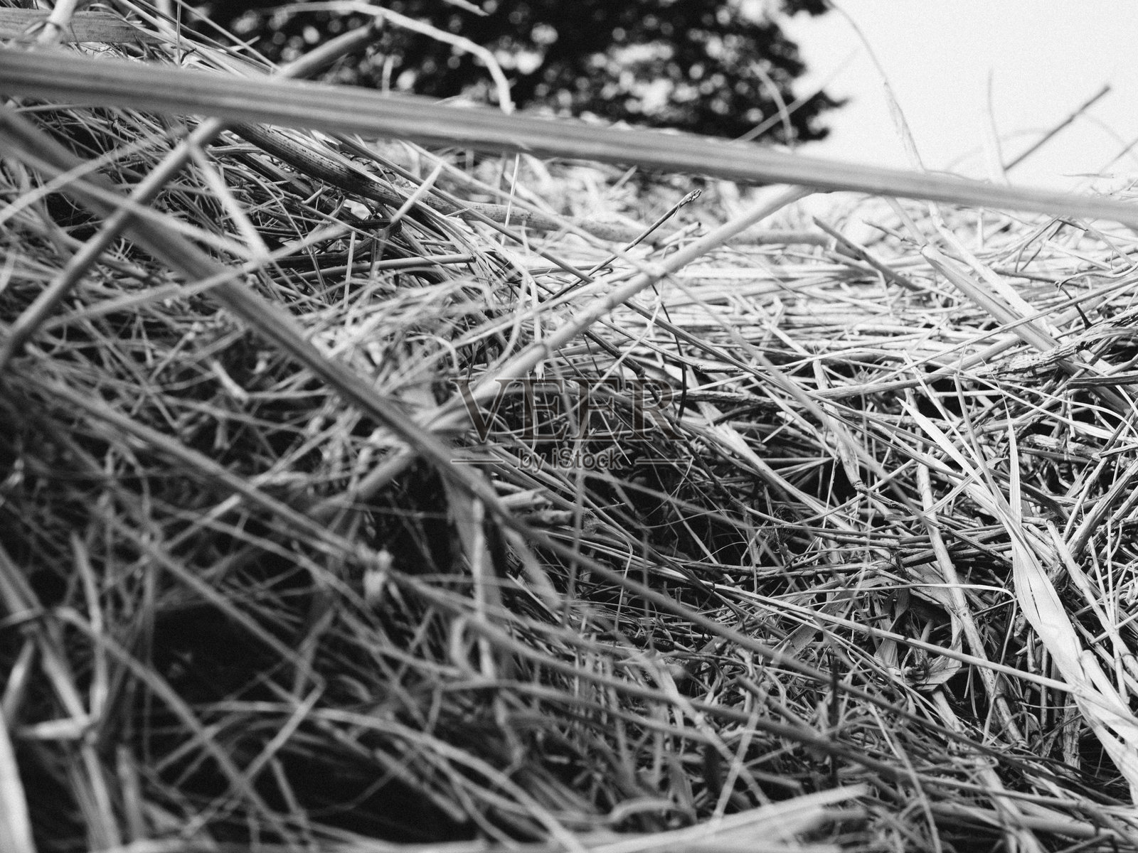 干草照片摄影图片