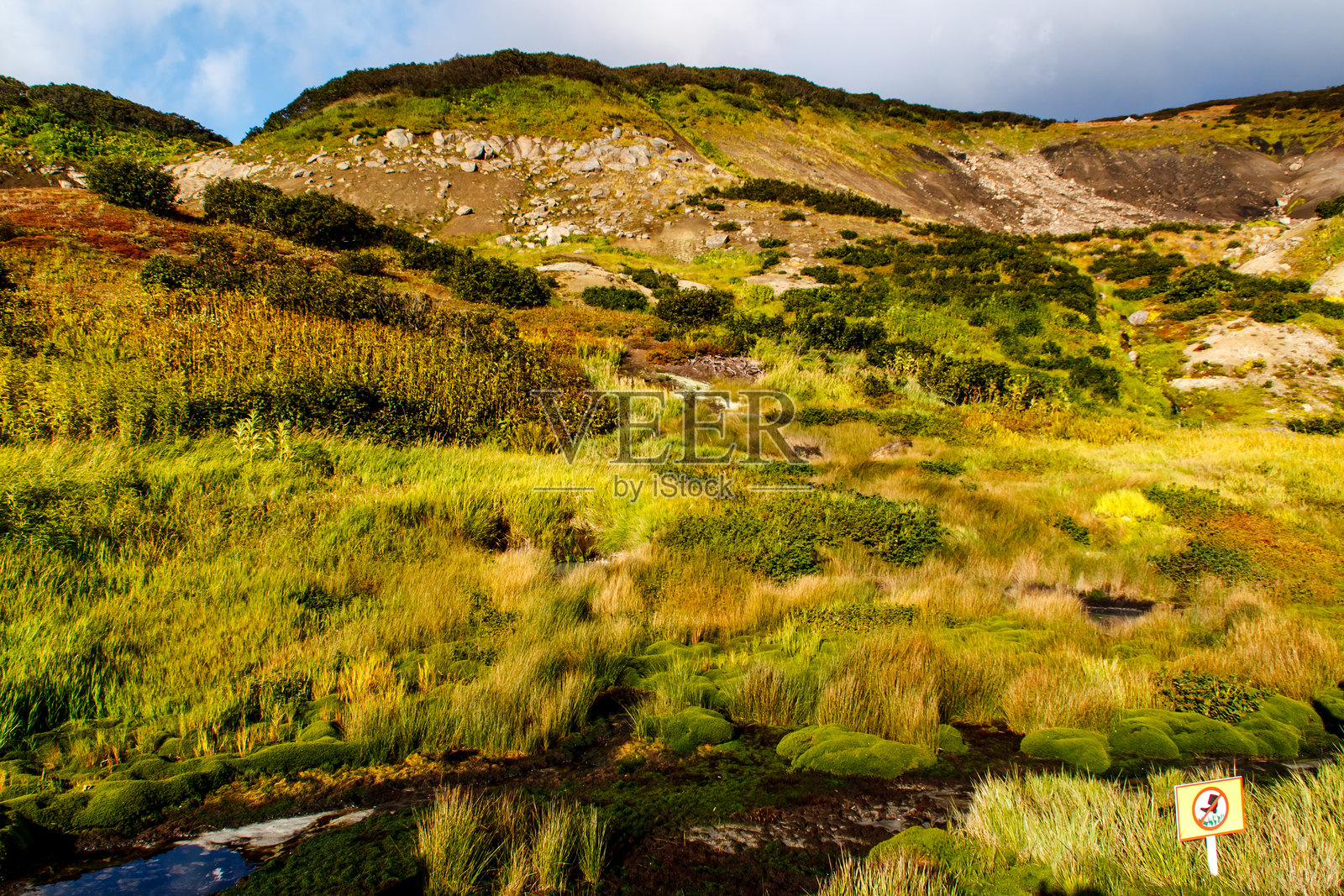 俄罗斯堪察加地区的小间歇泉谷。照片摄影图片