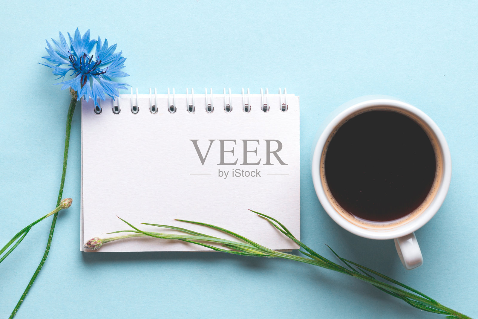 春季背景。矢车菊、一杯热咖啡和蓝色背景上的文本框架。留白。样机。照片摄影图片