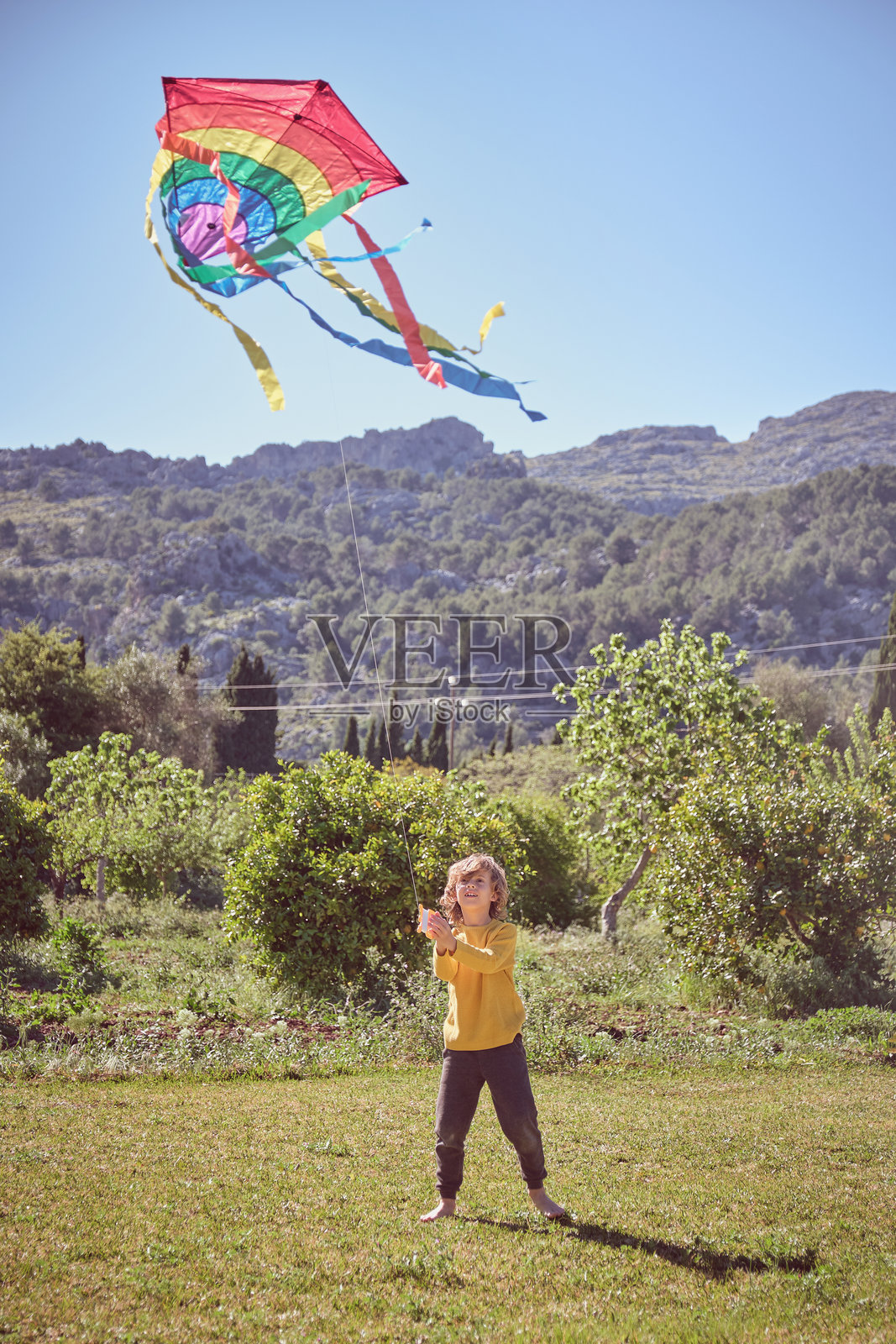 快乐的男孩在放风筝照片摄影图片