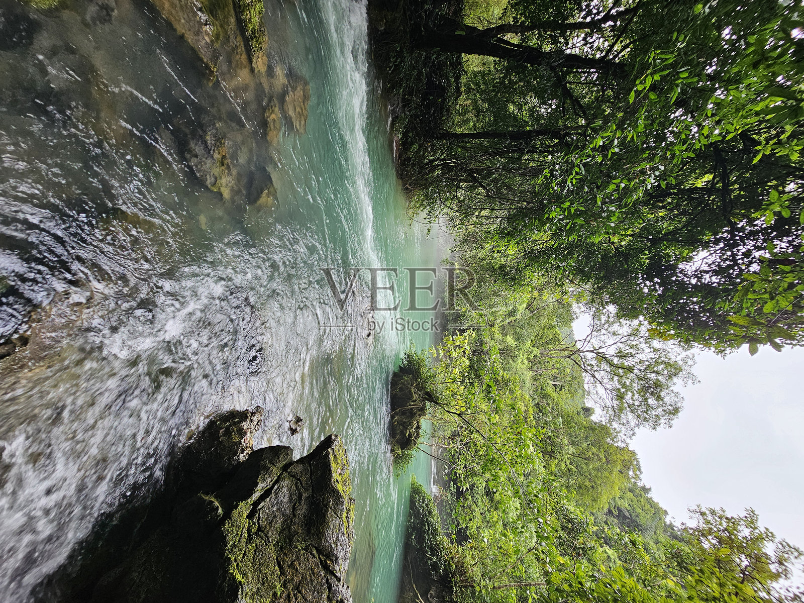 清澈的溪流穿过郁郁葱葱的森林照片摄影图片