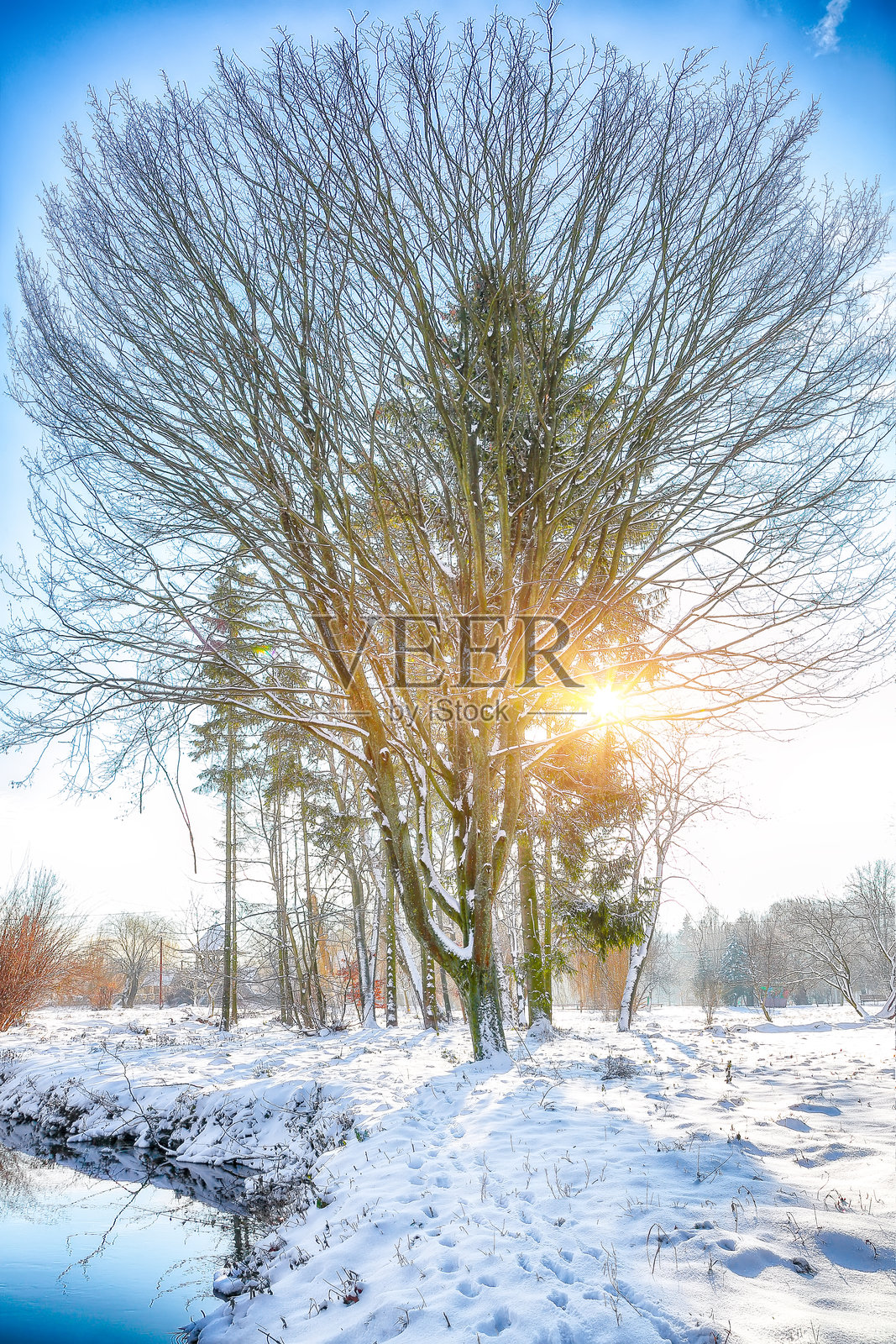 五彩斑斓的风景,雪-covered树木,美丽的冰冻河流在水中倒影。照片摄影图片