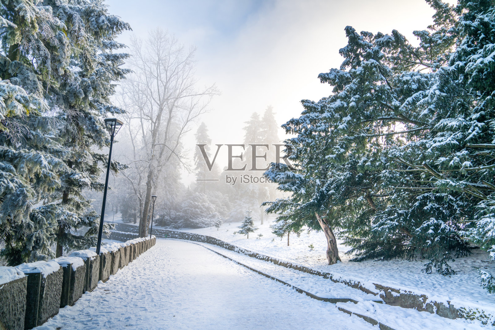 冬季山顶公园。雪覆盖的道路和森林的冬季风景。照片摄影图片