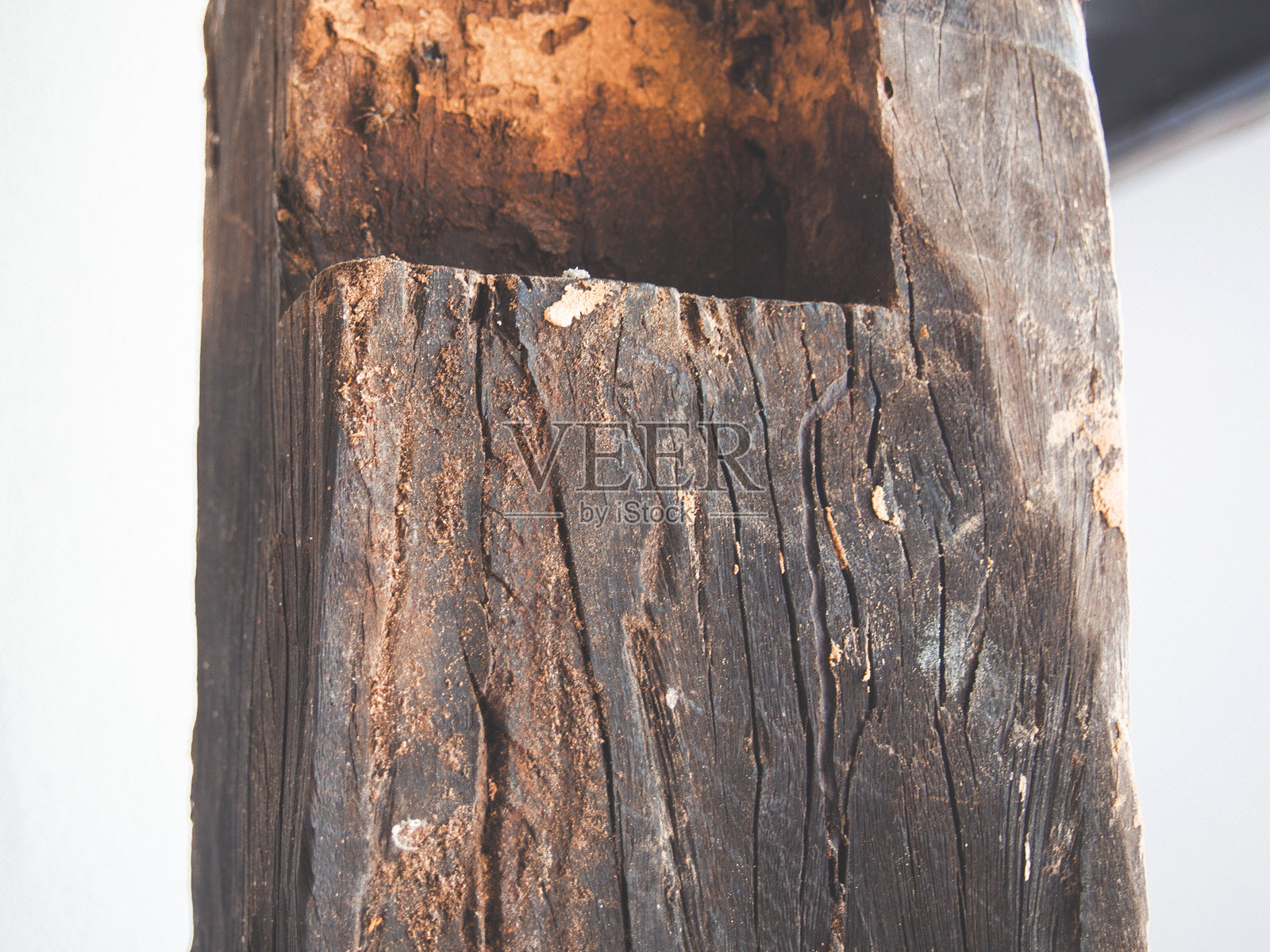 白蚁损害照片摄影图片