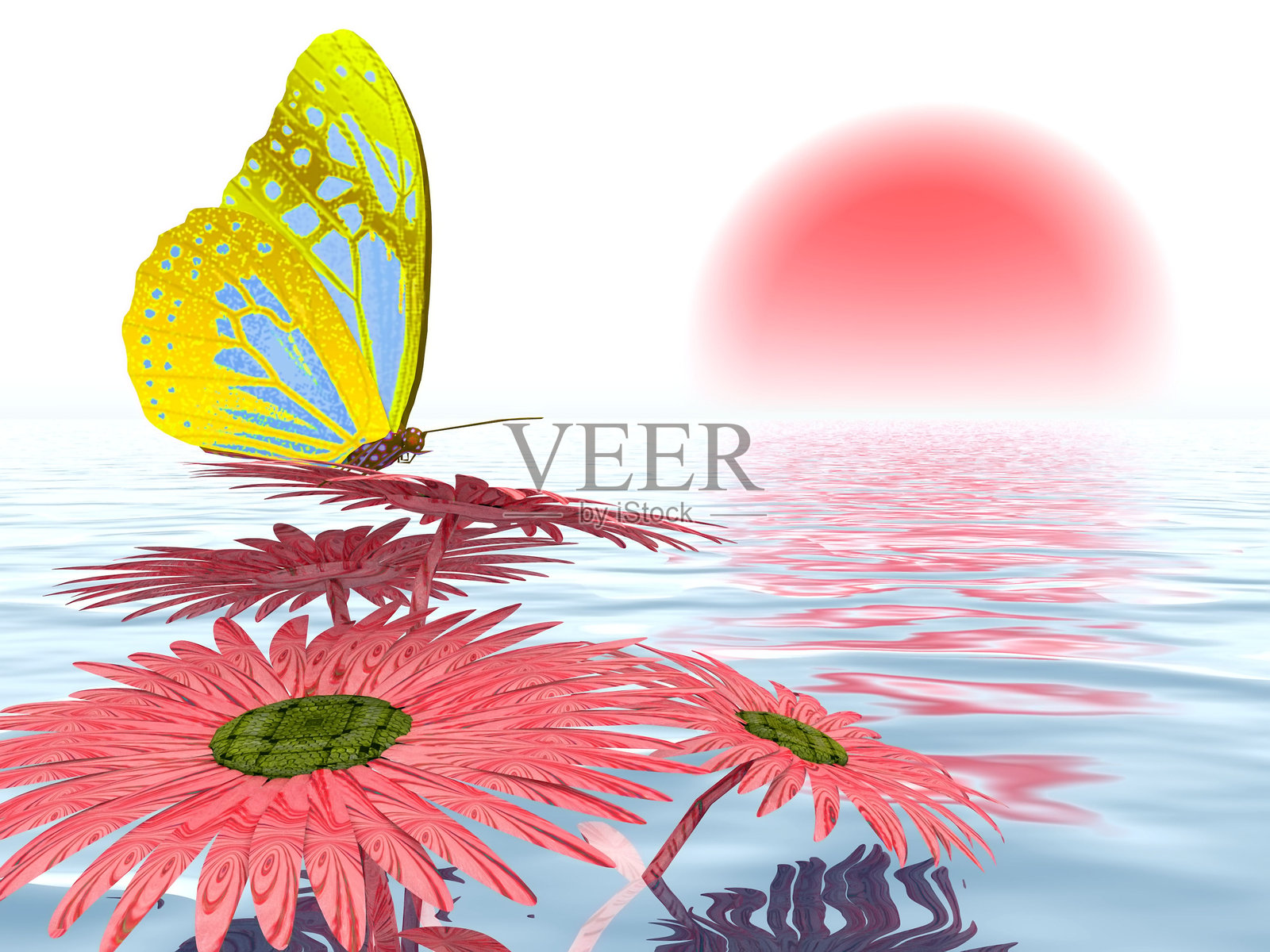 蝴蝶照片摄影图片