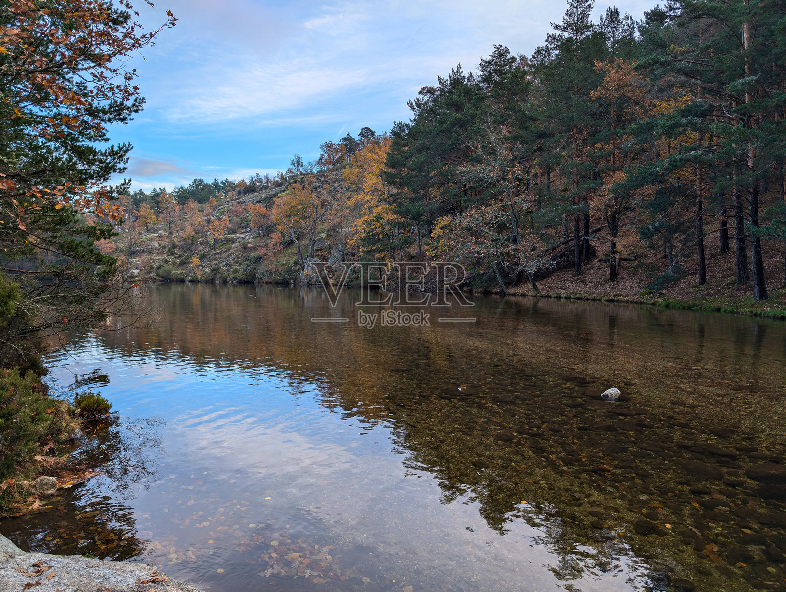 河流,秋天,树木,植物,风景,自然,早晨,色彩,景观,水照片摄影图片
