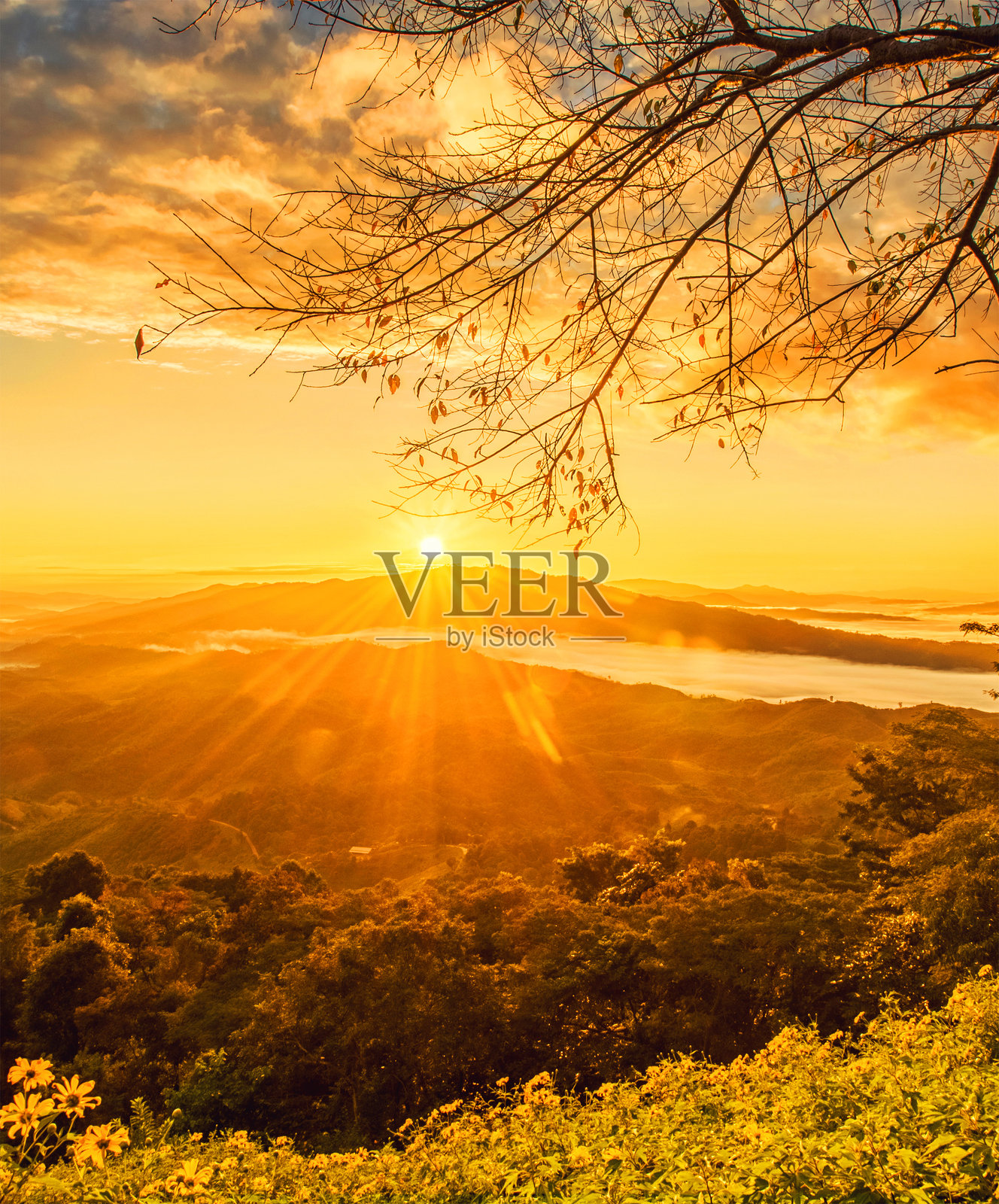 美丽的日出风景照片摄影图片