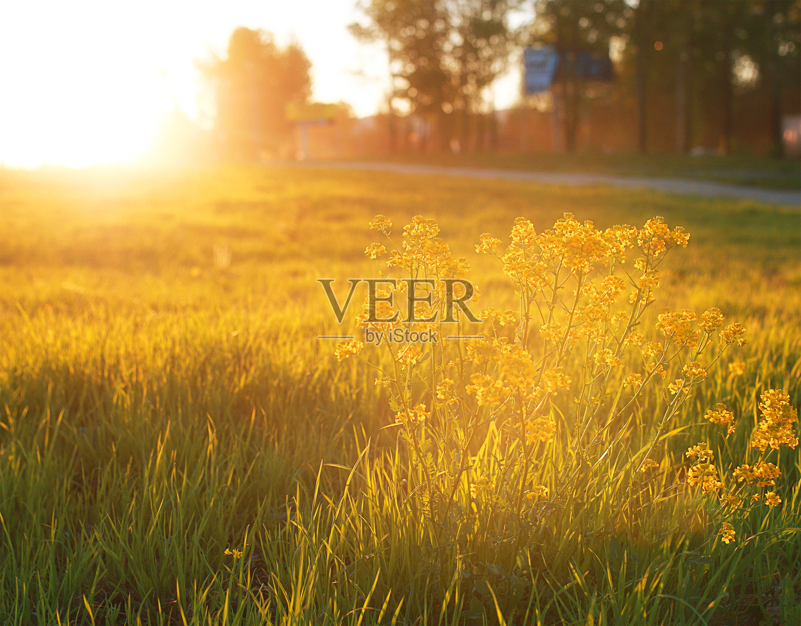 美丽的日出风景,山间日落,美丽的日出和日落风景照片摄影图片