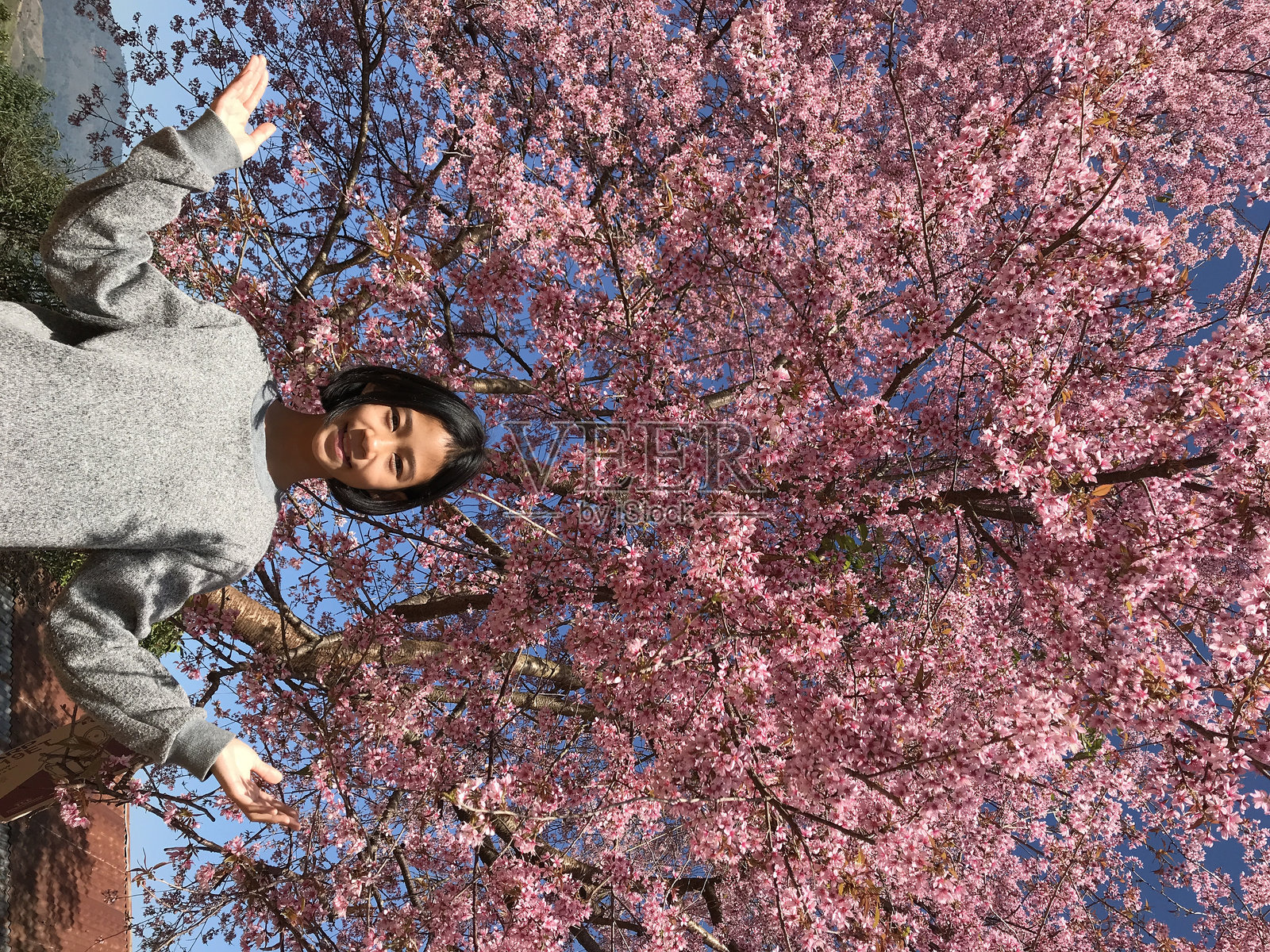 女孩站在开花树旁的肖像照片摄影图片