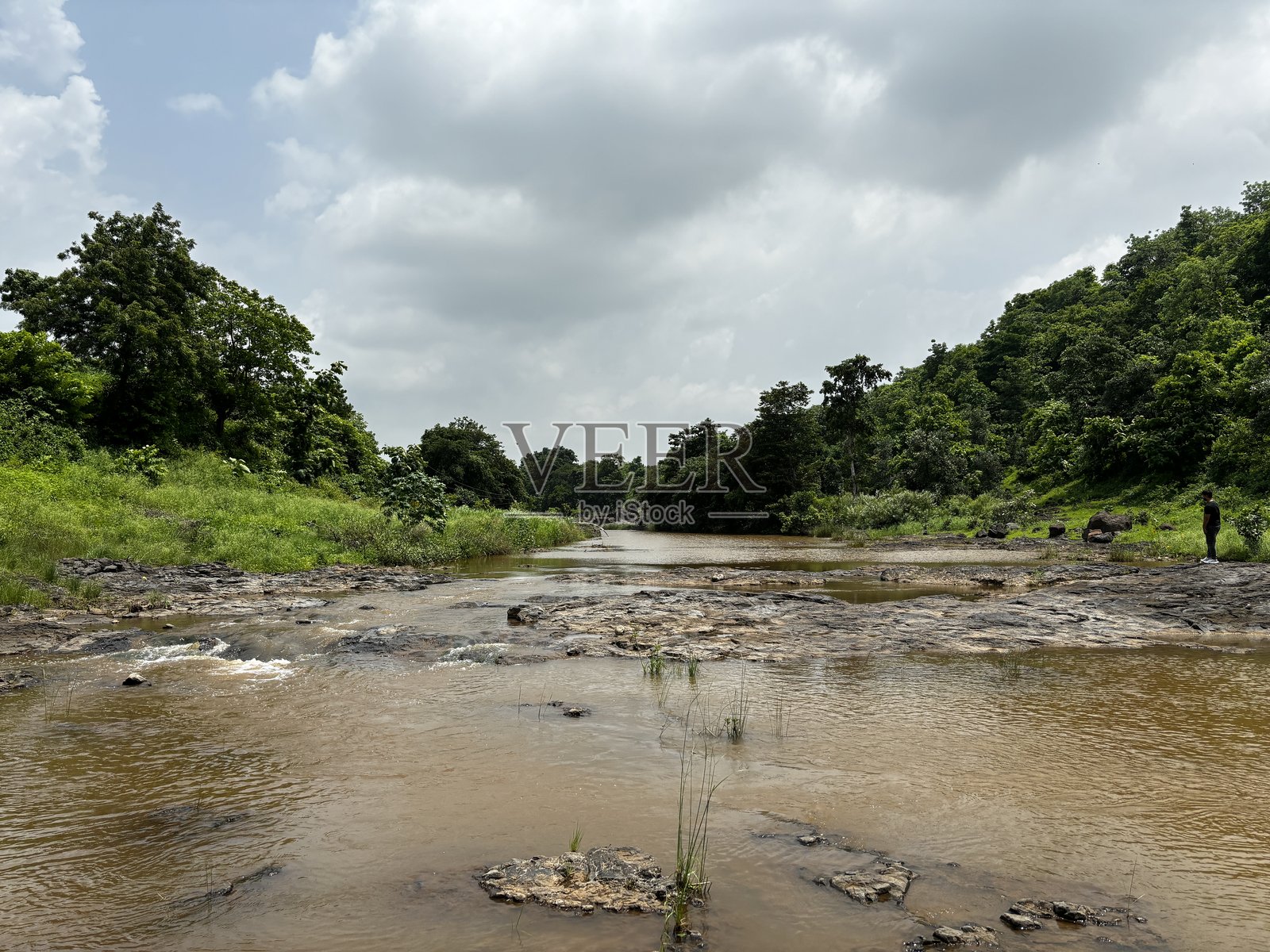 印度的美丽花卉和植物照片摄影图片