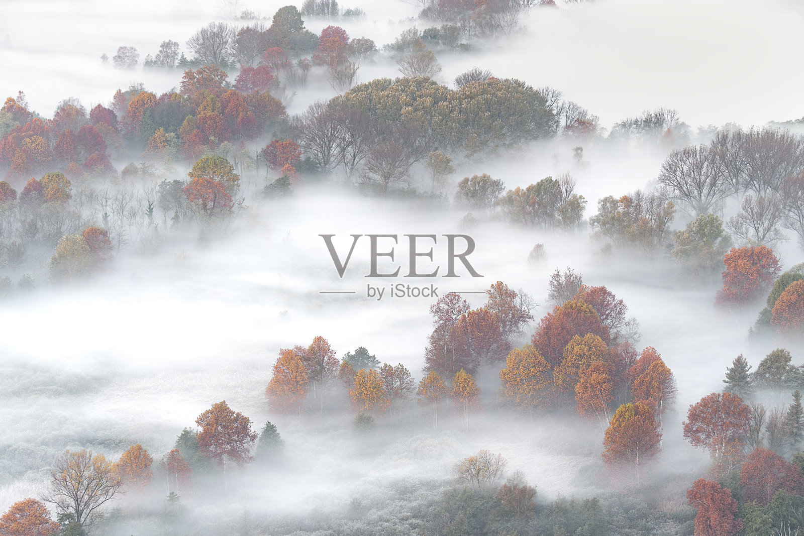 像水彩画一样照片摄影图片