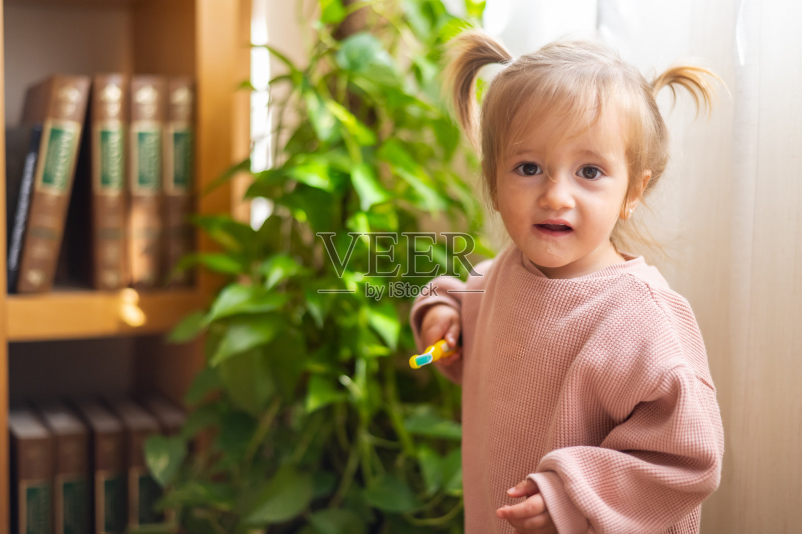 扎着辫子的女孩在自然光下刷牙并微笑 - 儿童卫生与健康教育照片摄影图片