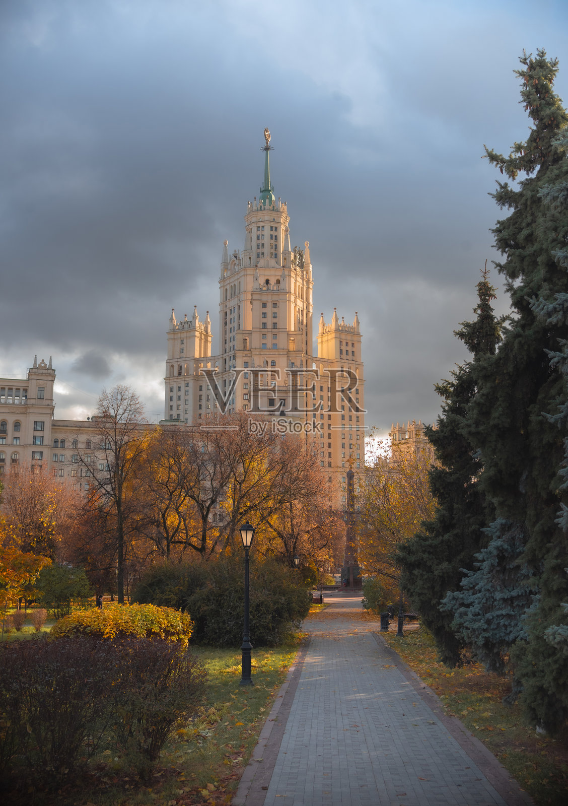 城市中的高层建筑与树木相映成趣,秋季城市风景照片摄影图片