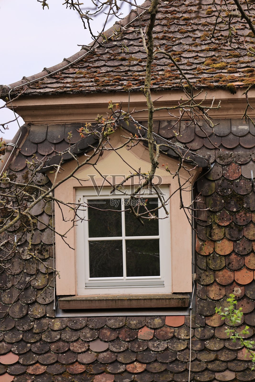 来自恩茨河畔的维欣根的印象照片摄影图片