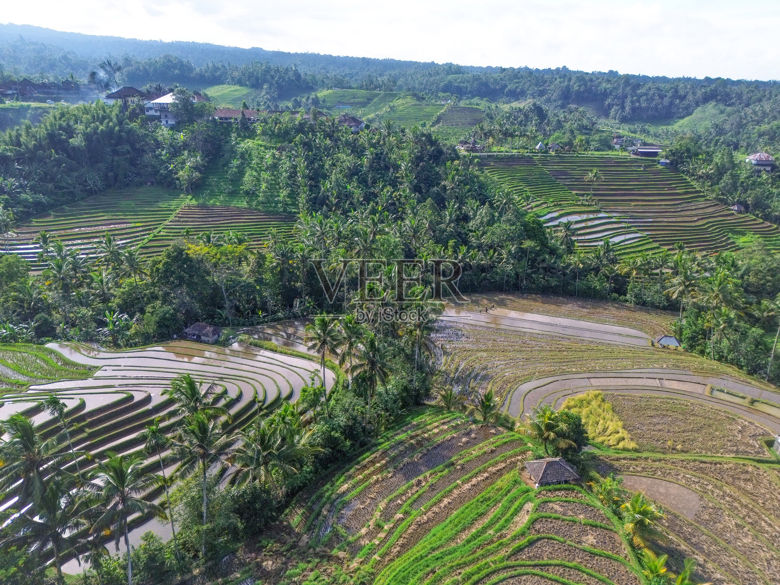 印度尼西亚巴厘岛塔巴南的塔巴南稻田鸟瞰图照片摄影图片