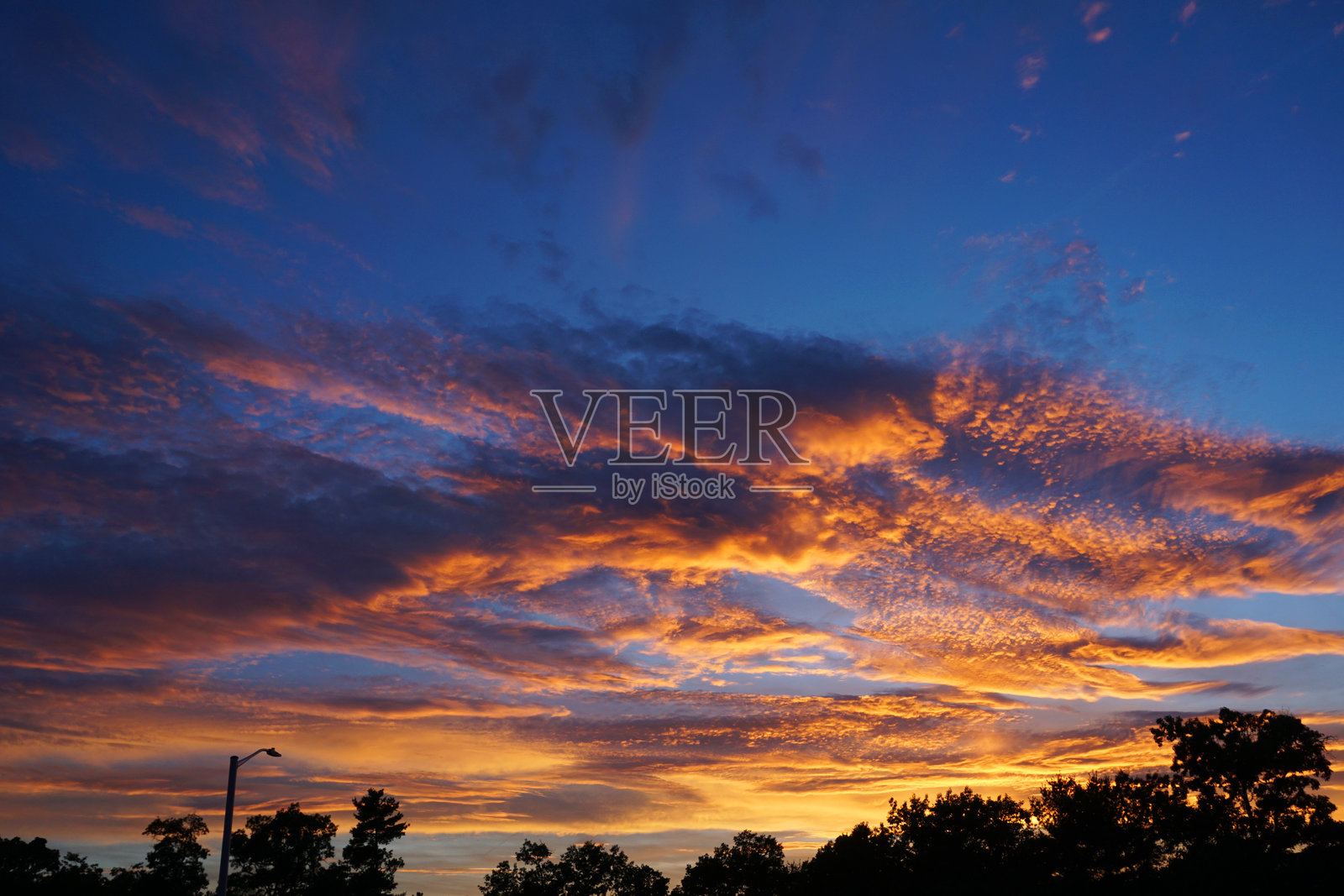 色彩斑斓的戏剧性天空与日落时分的森林剪影照片摄影图片