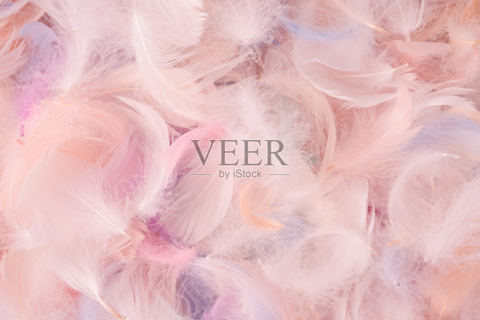 彩色羽毛背景,俯视图。照片摄影图片