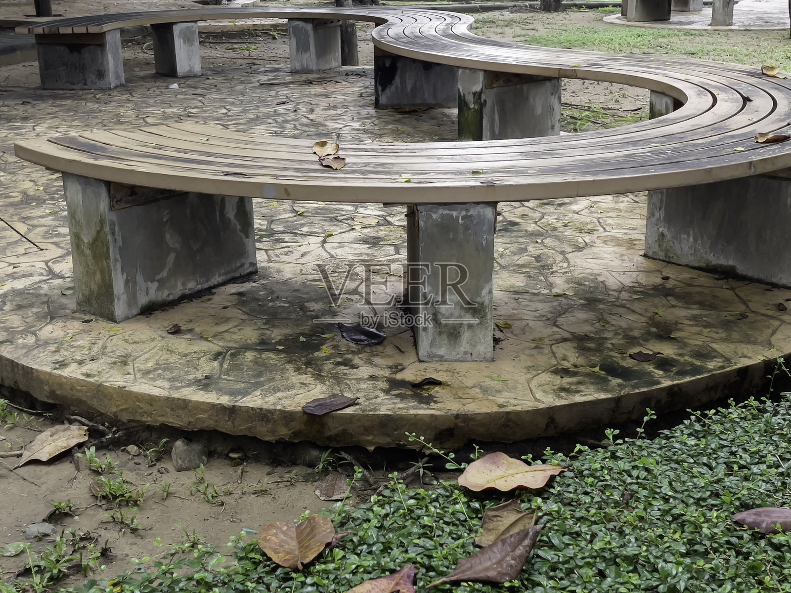 城市中的美丽热带公共公园照片摄影图片