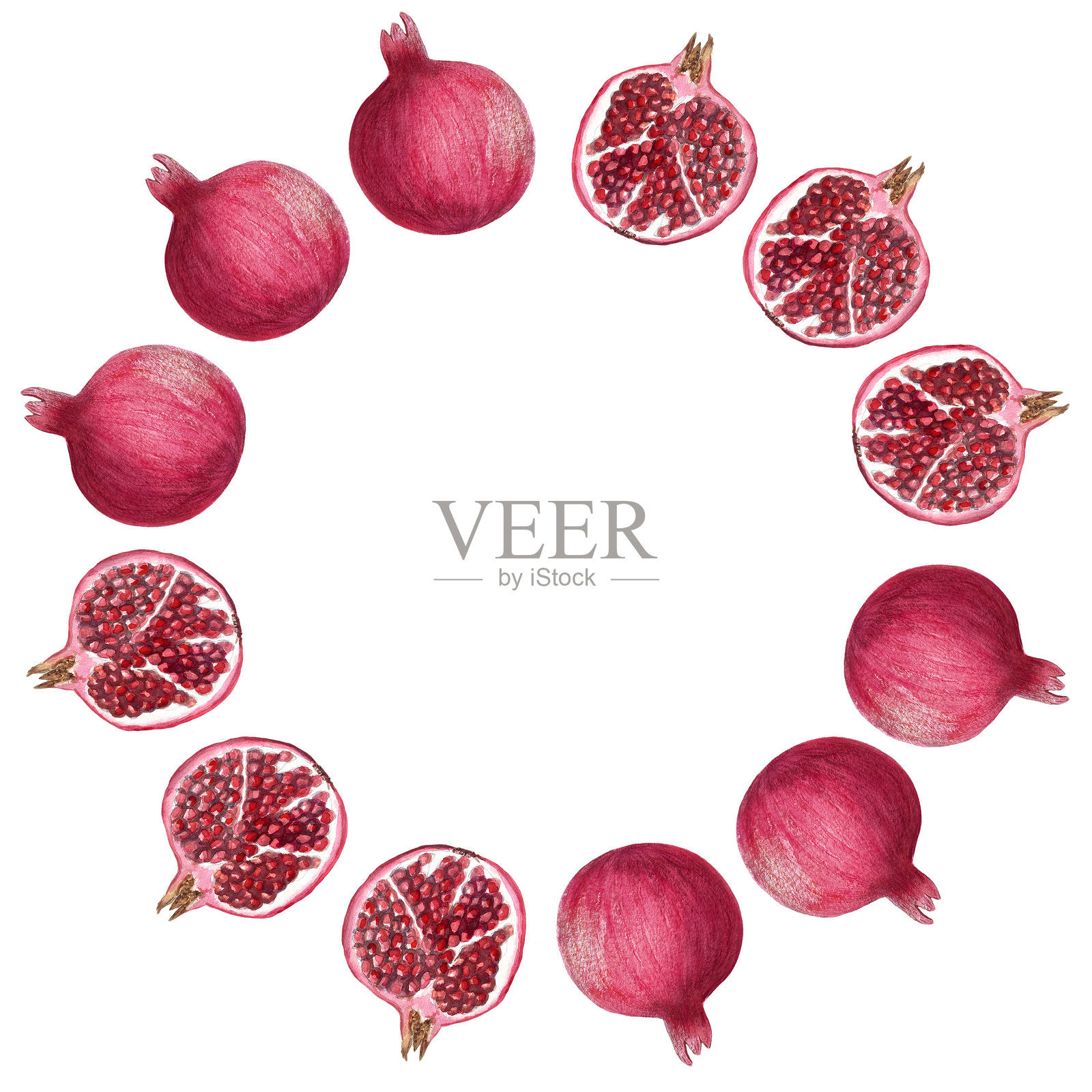一个开放的石榴水彩圆框,孤立在白色背景上。插画图片素材