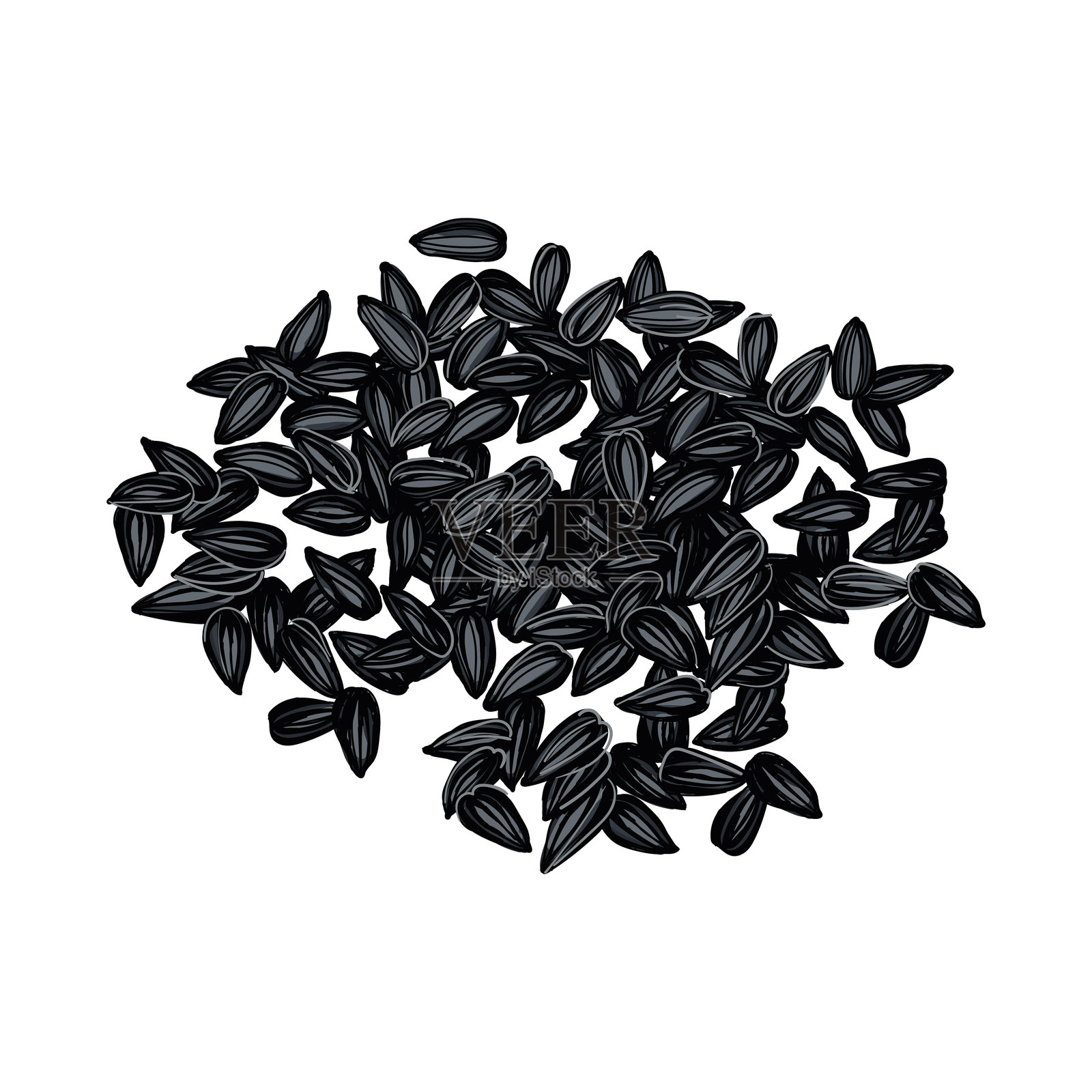 向日葵种子的彩色插图插画图片素材