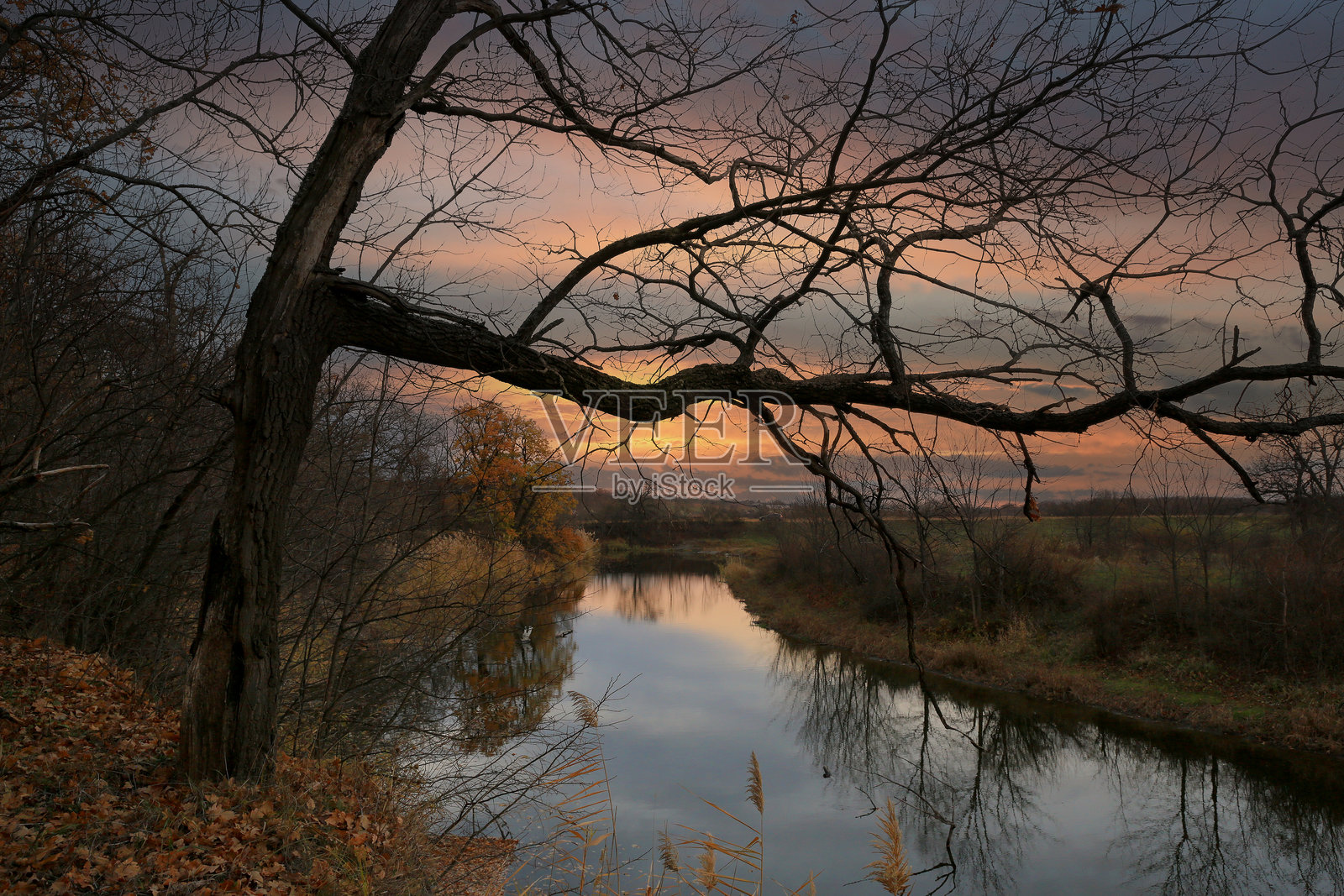 秋天傍晚的河边景色照片摄影图片