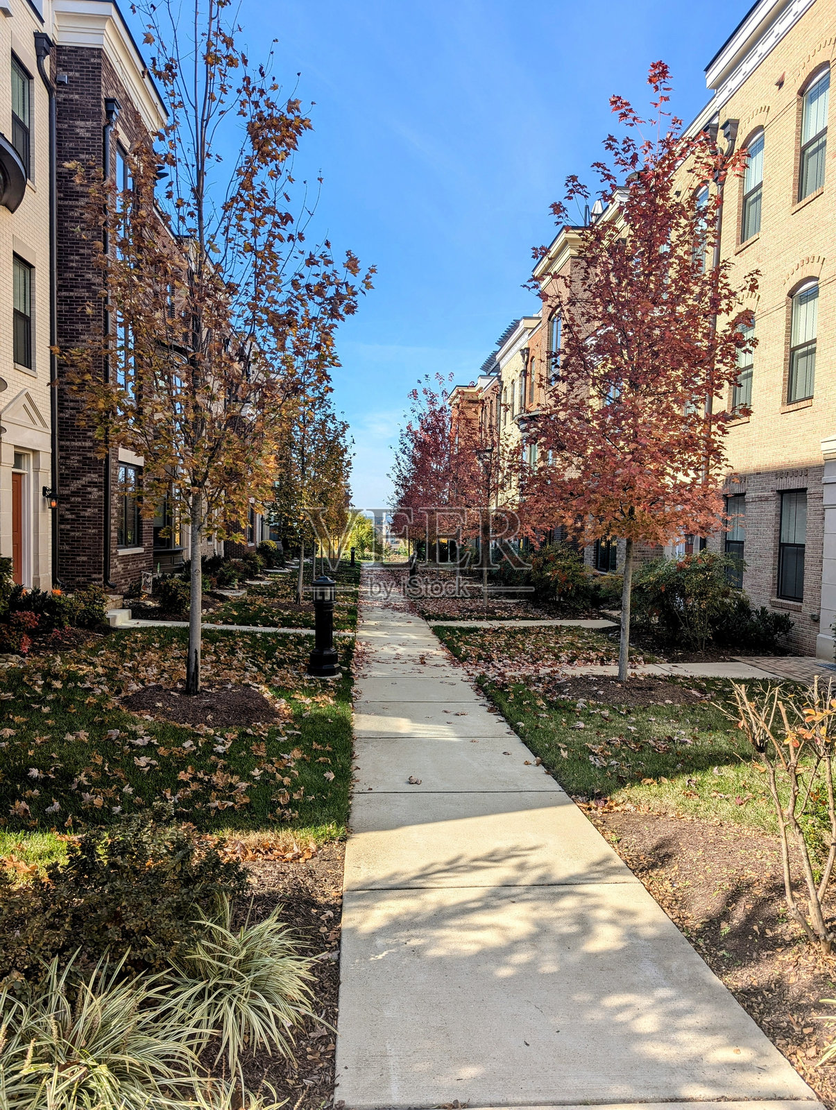 秋天的一天,社区人行道照片摄影图片