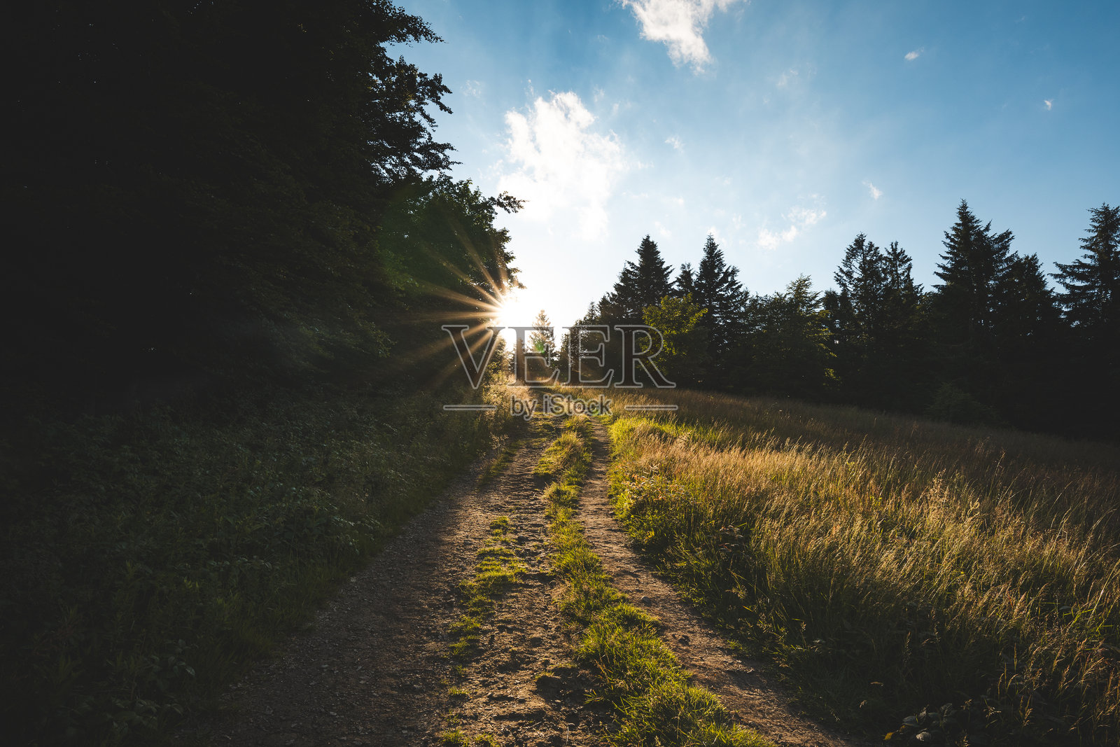 捷克共和国贝斯基迪山脉的阳光小径,沐浴在金色时光的光辉中。温暖的光芒洒在草地和森林边缘,营造出宁静、平和的氛围,适合徒步旅行者。照片摄影图片