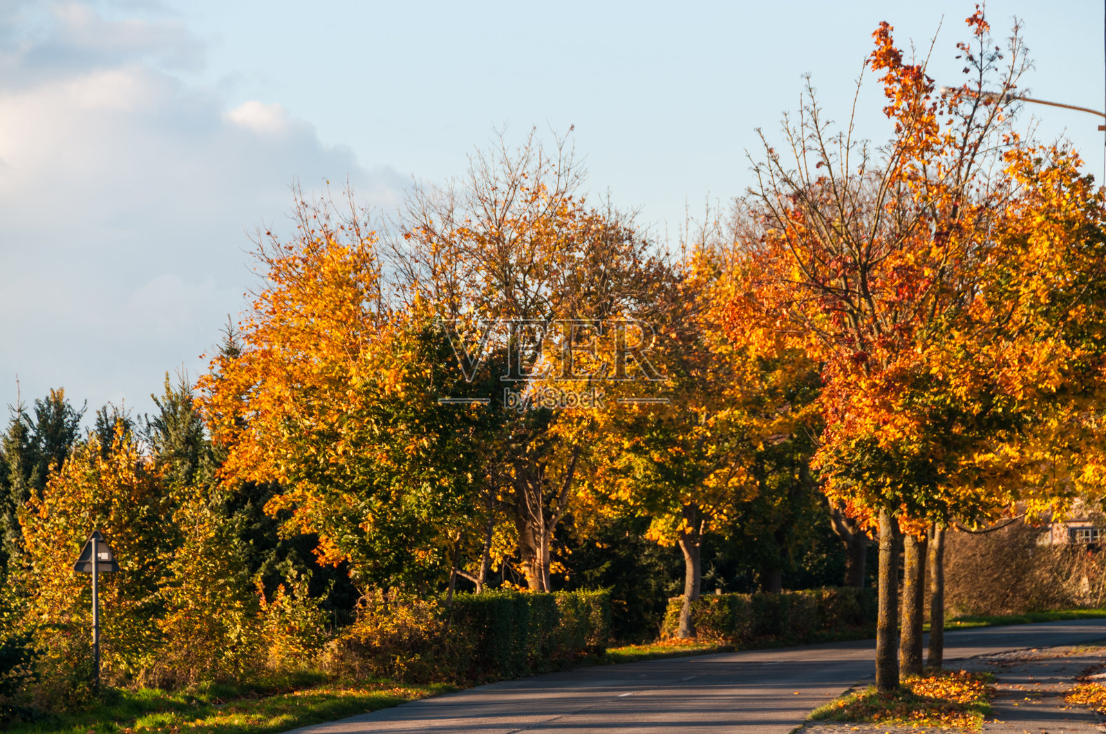 比利时的秋季 foliage照片摄影图片