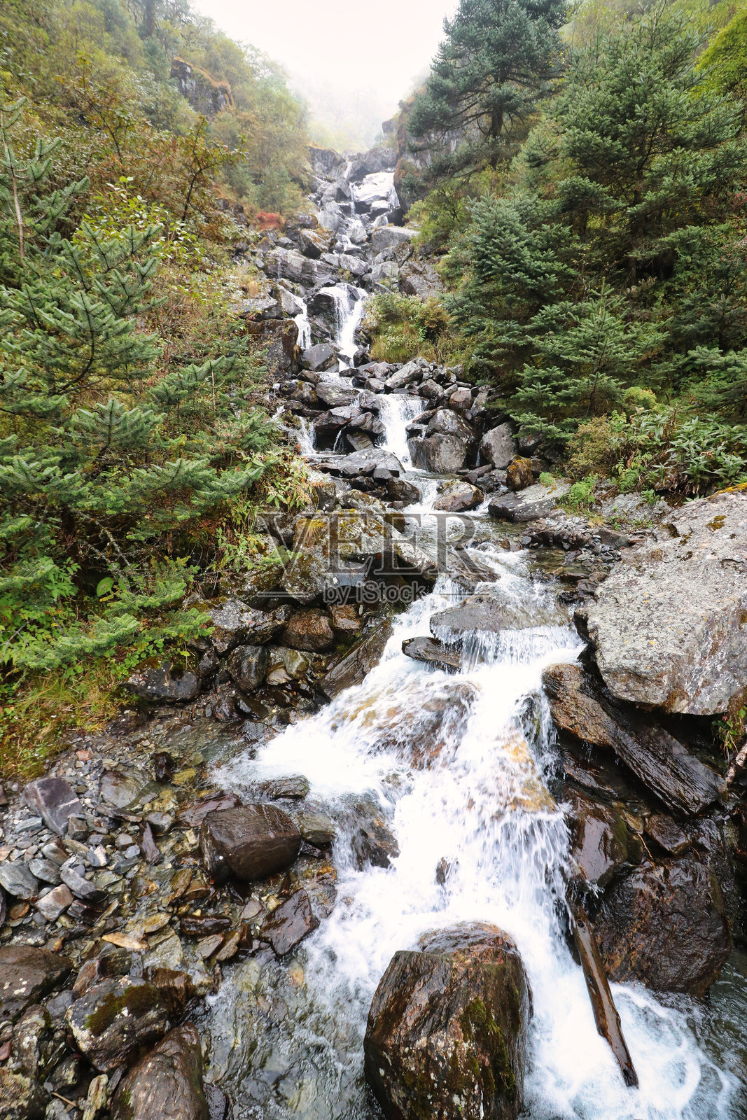 尼泊尔下昆布的云雾森林中的山间溪流照片摄影图片