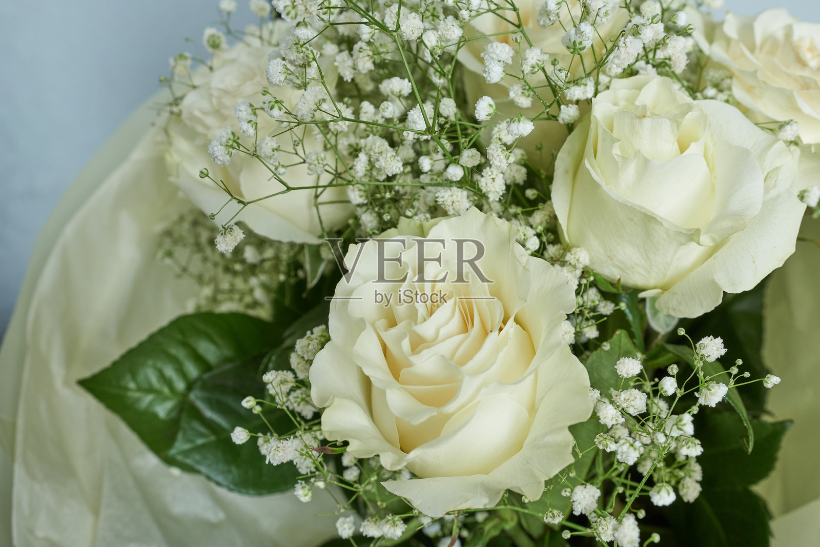 美丽的白玫瑰和满天星花束照片摄影图片