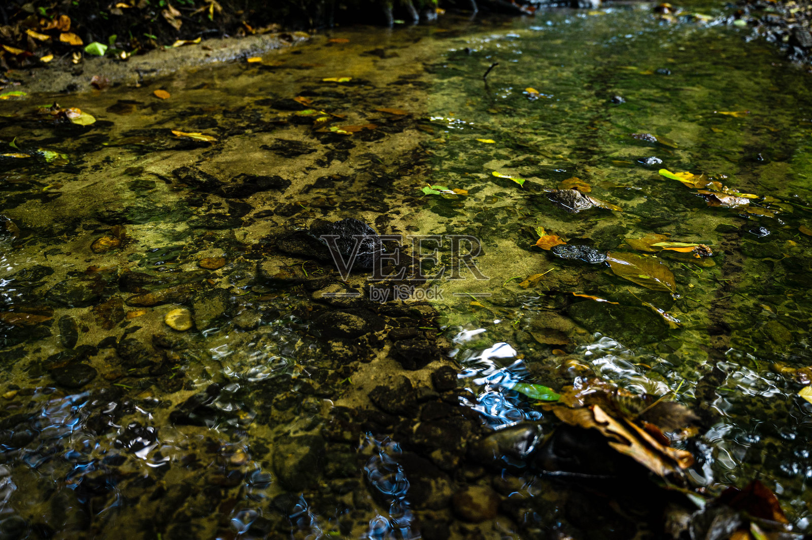 秋天的照片照片摄影图片