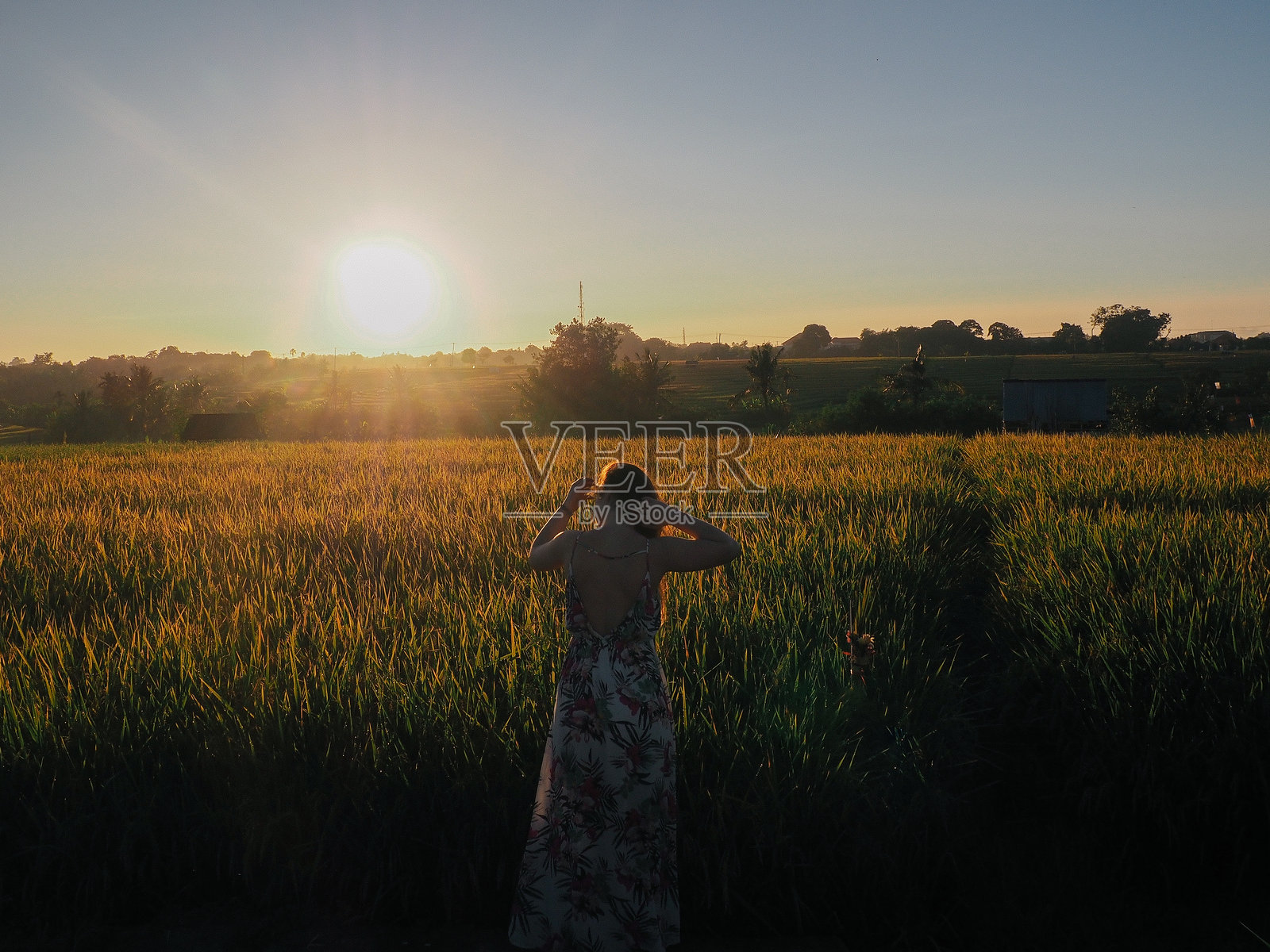 黄昏时分,女人背对着农田站在天空下照片摄影图片