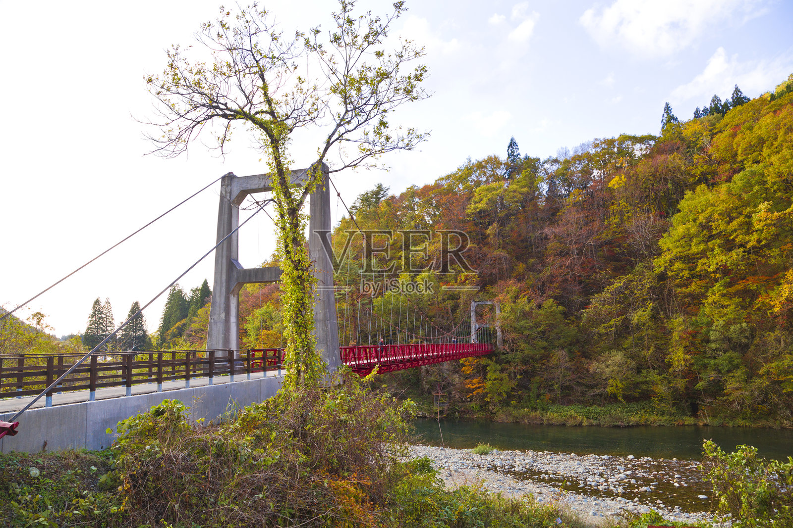 日本东北地区秋季的秋田县大泷谷。照片摄影图片