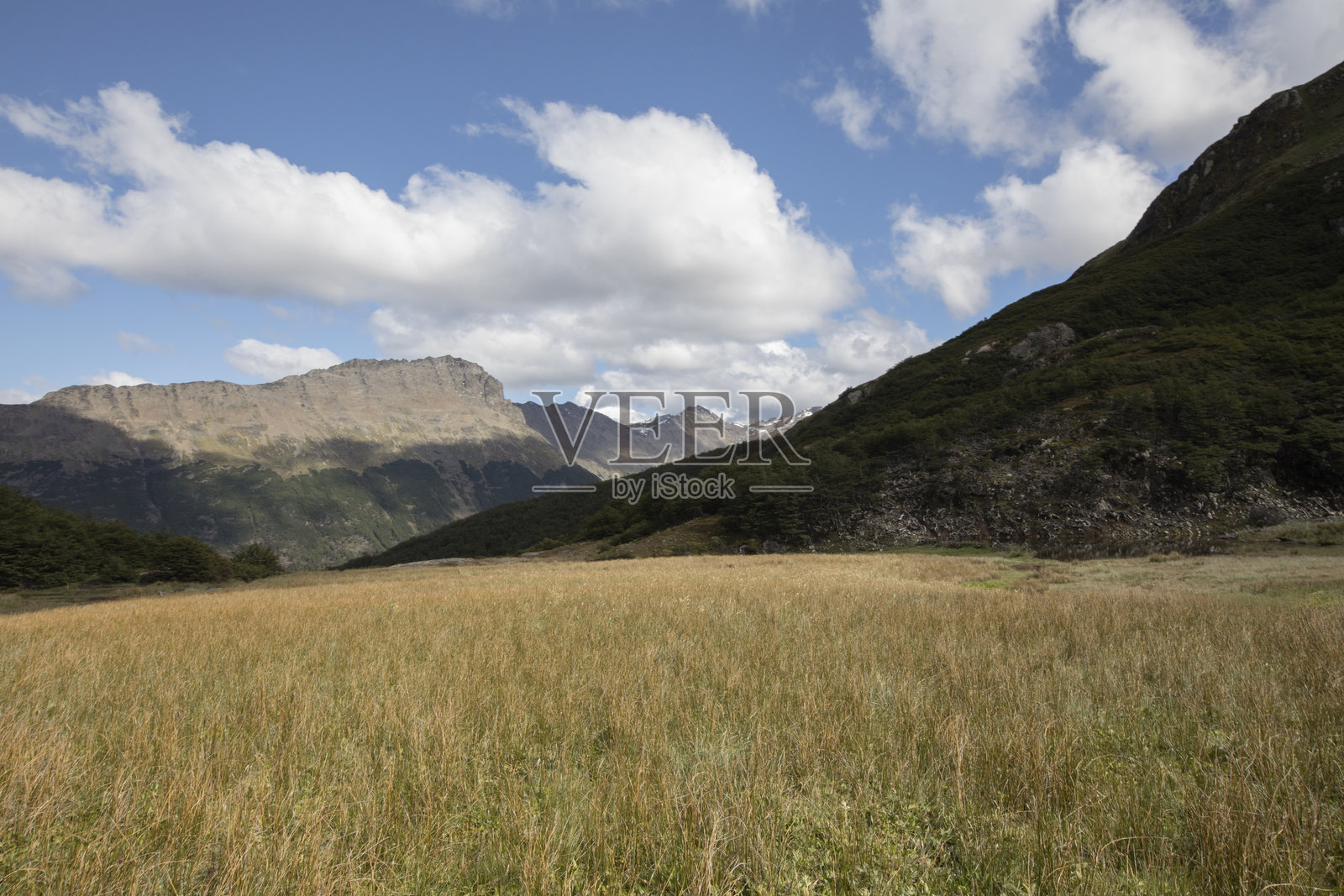 夏日阳光下的草原和山丘全景照片摄影图片