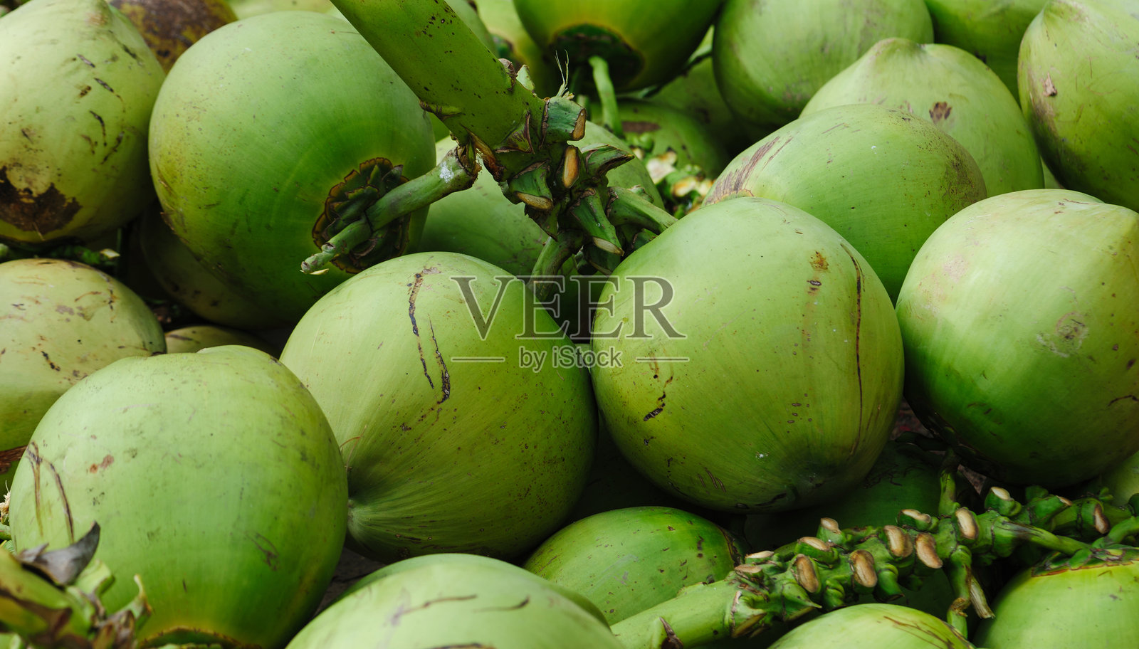 新鲜椰子水果出售照片摄影图片