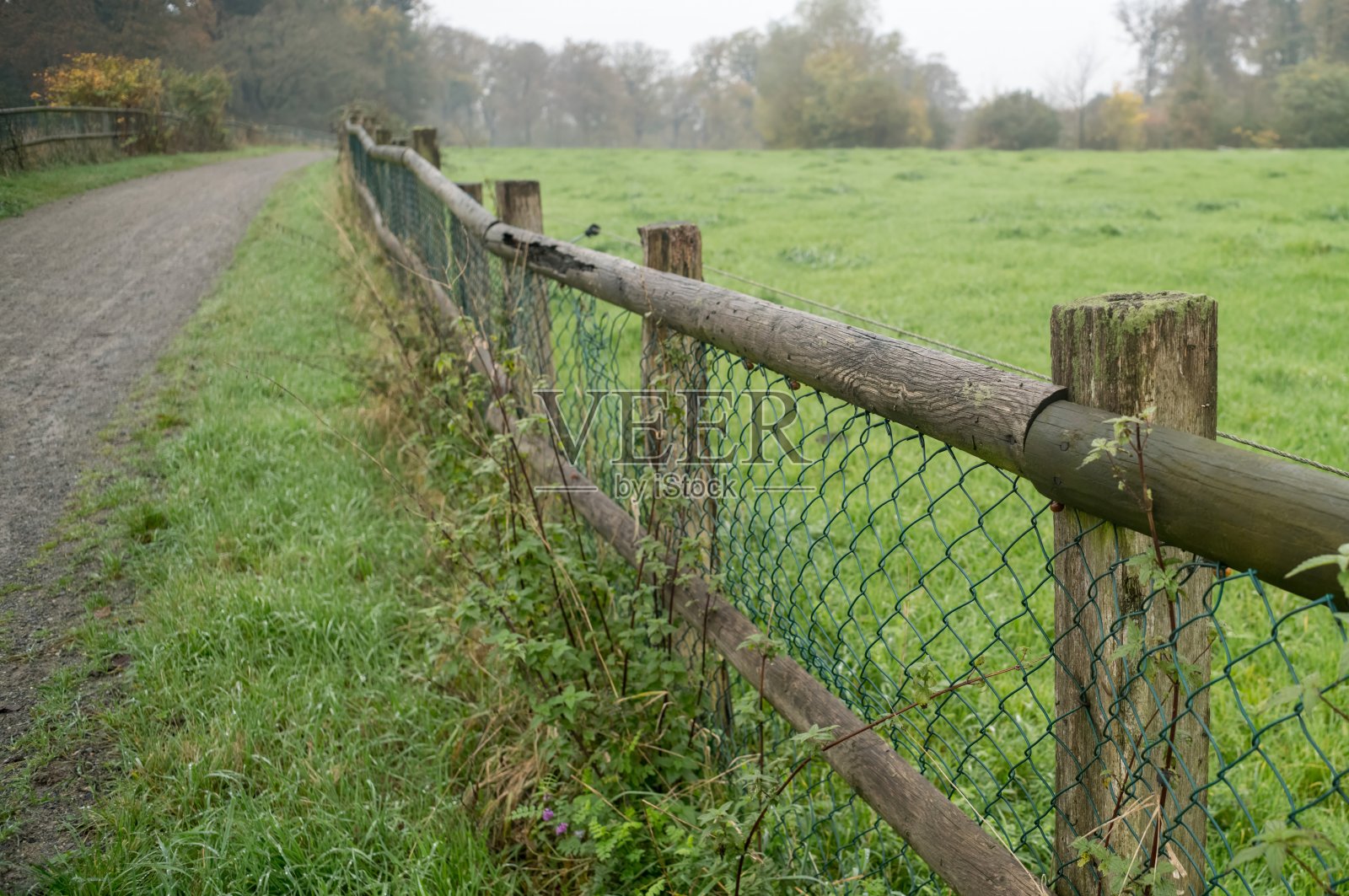 雾天中,木栅栏将碎石路与绿色草地分隔开。照片摄影图片