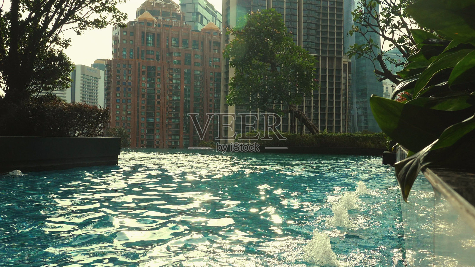 宁静的城市游泳池,背景是现代建筑,恬静的绿洲照片摄影图片