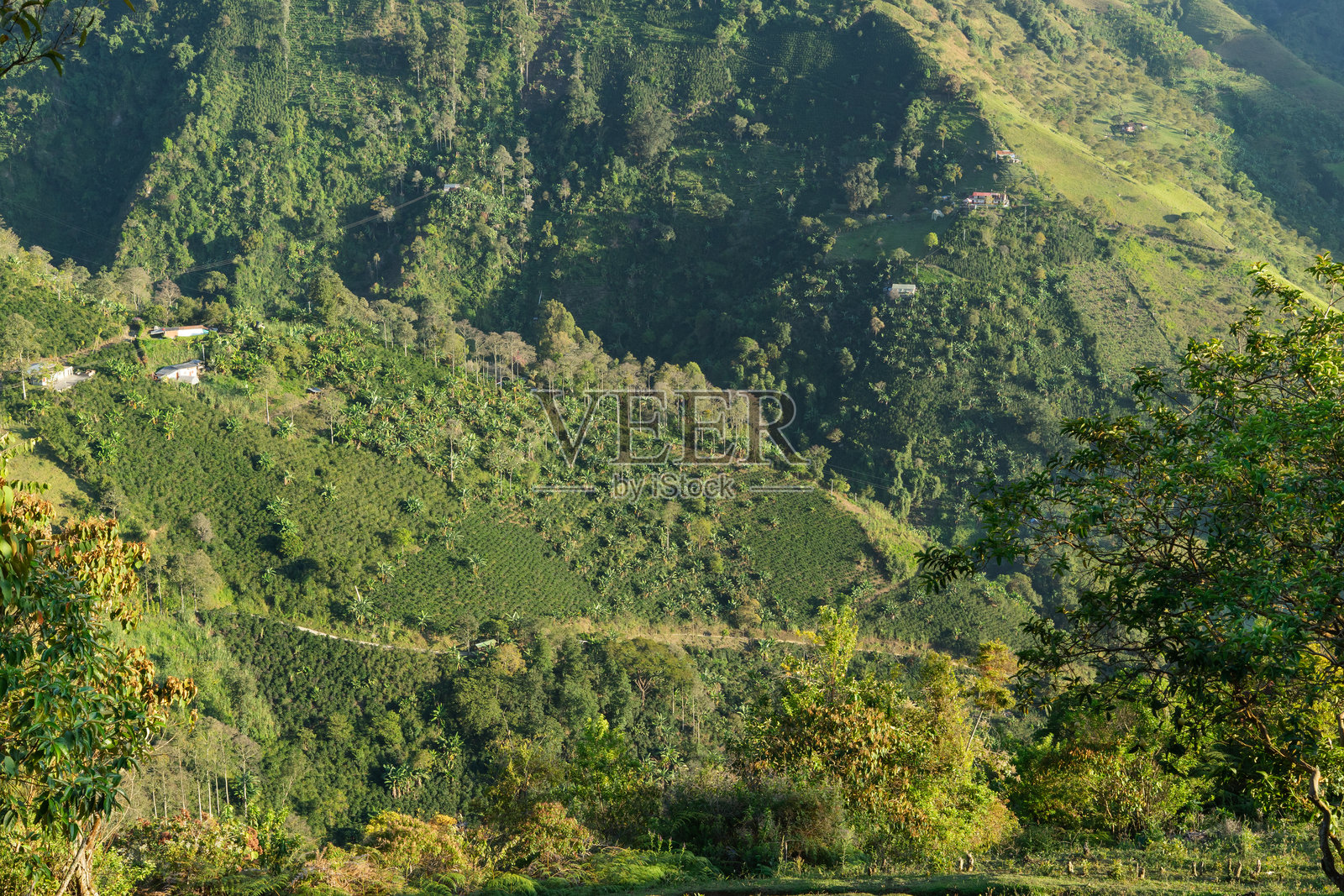 一条被树木环绕的山景公路照片摄影图片