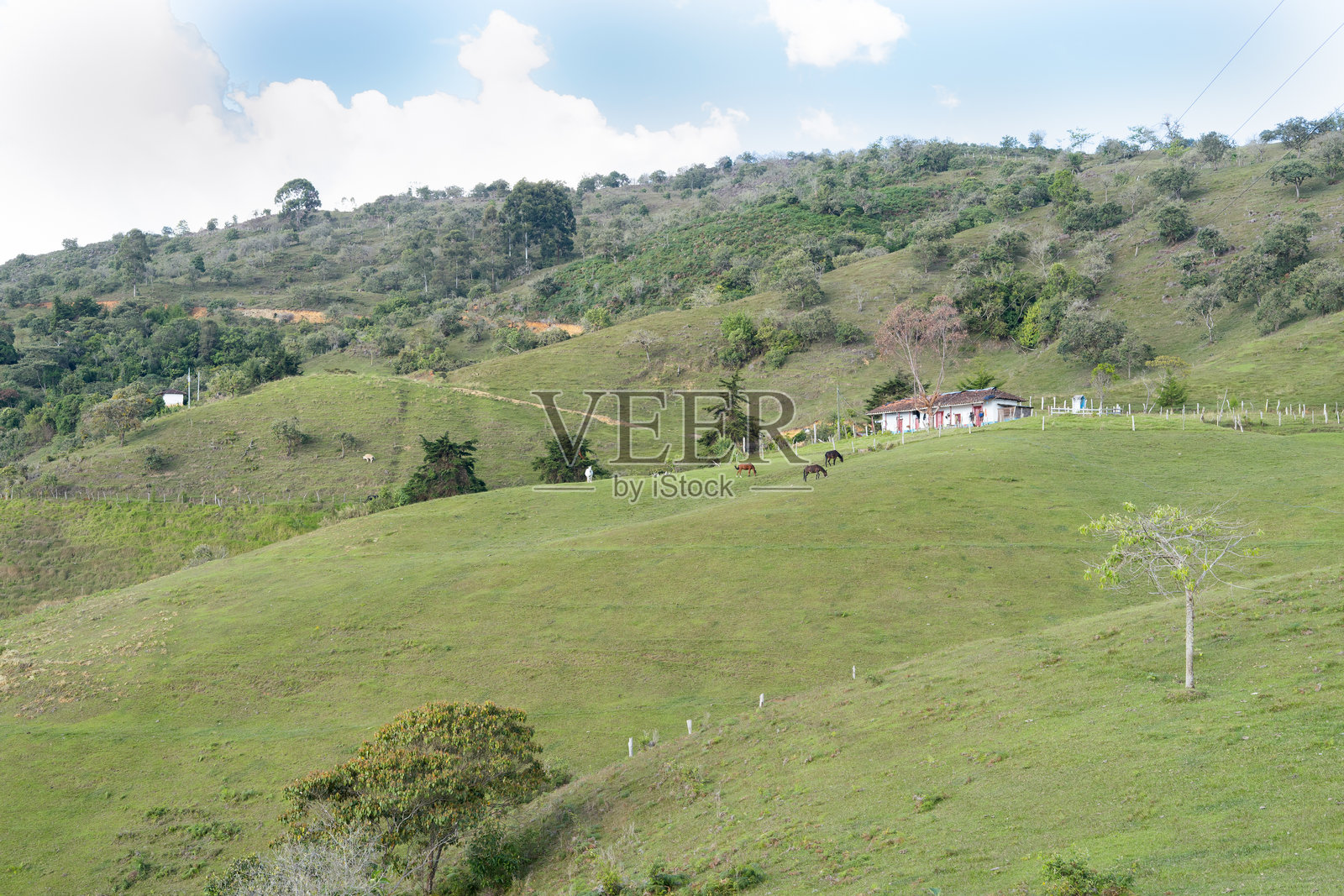 一片郁郁葱葱的绿色山坡,远处有一个小村庄。照片摄影图片