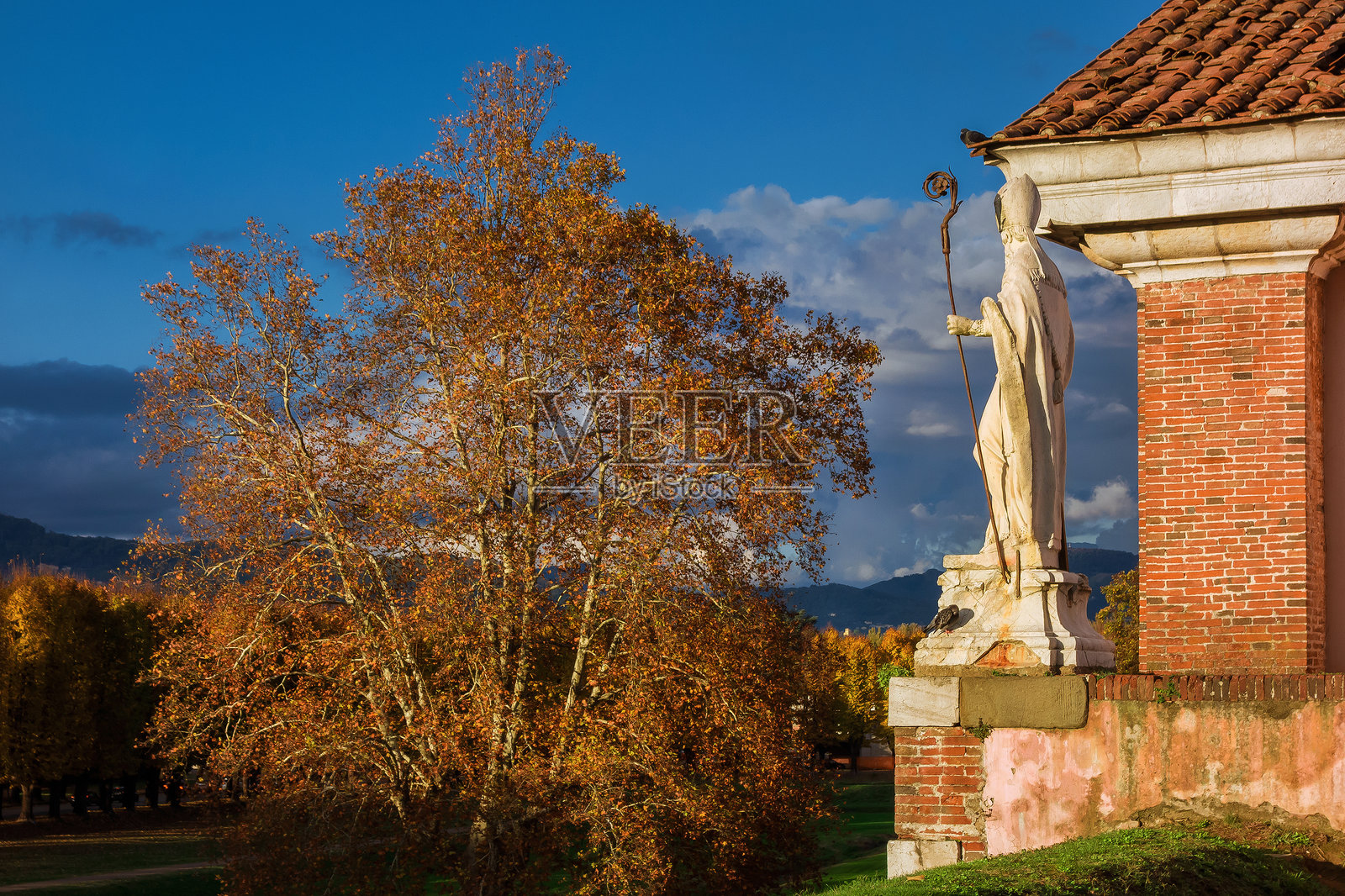 卢卡的秋天照片摄影图片