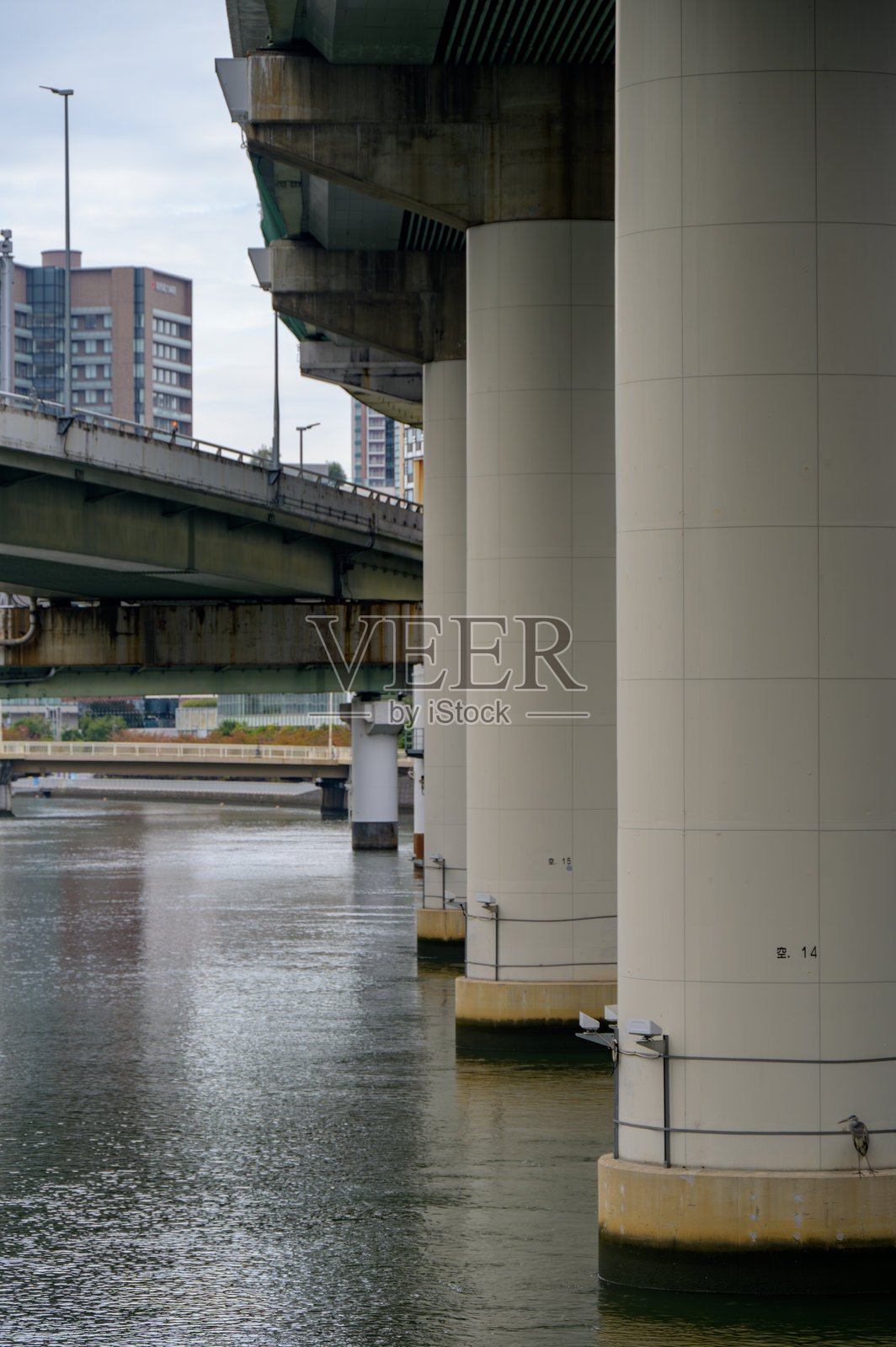 城市河流和宁静水面的高架桥墩照片摄影图片