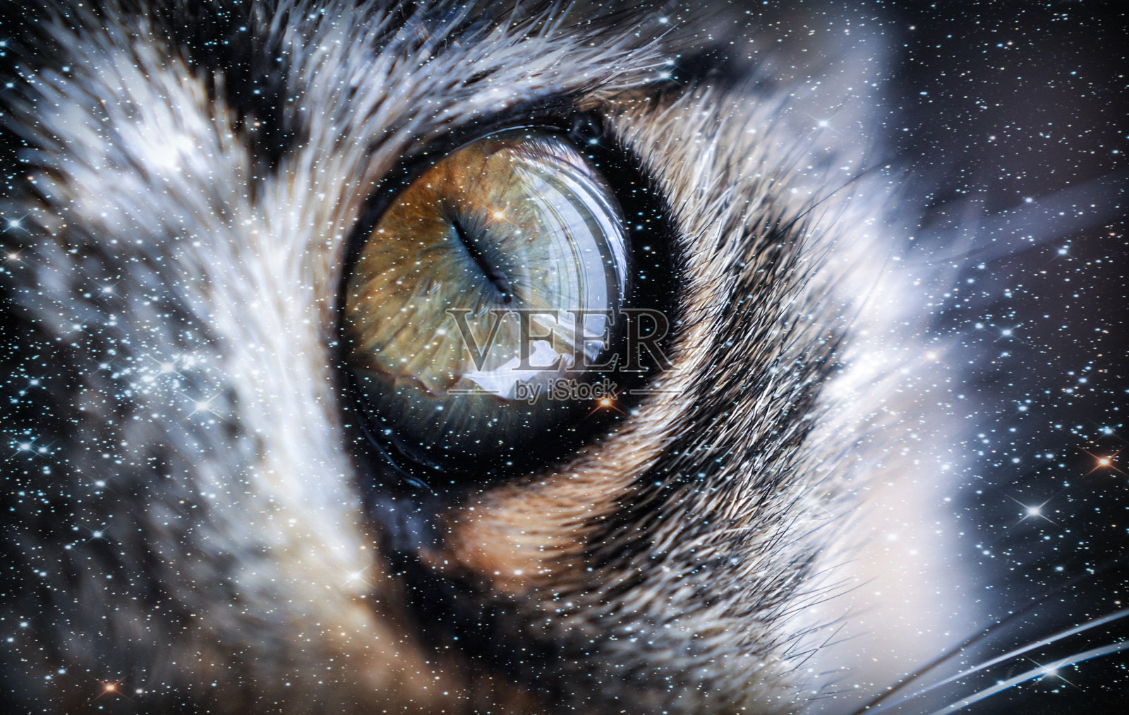 宇宙形状的猫眼照片摄影图片