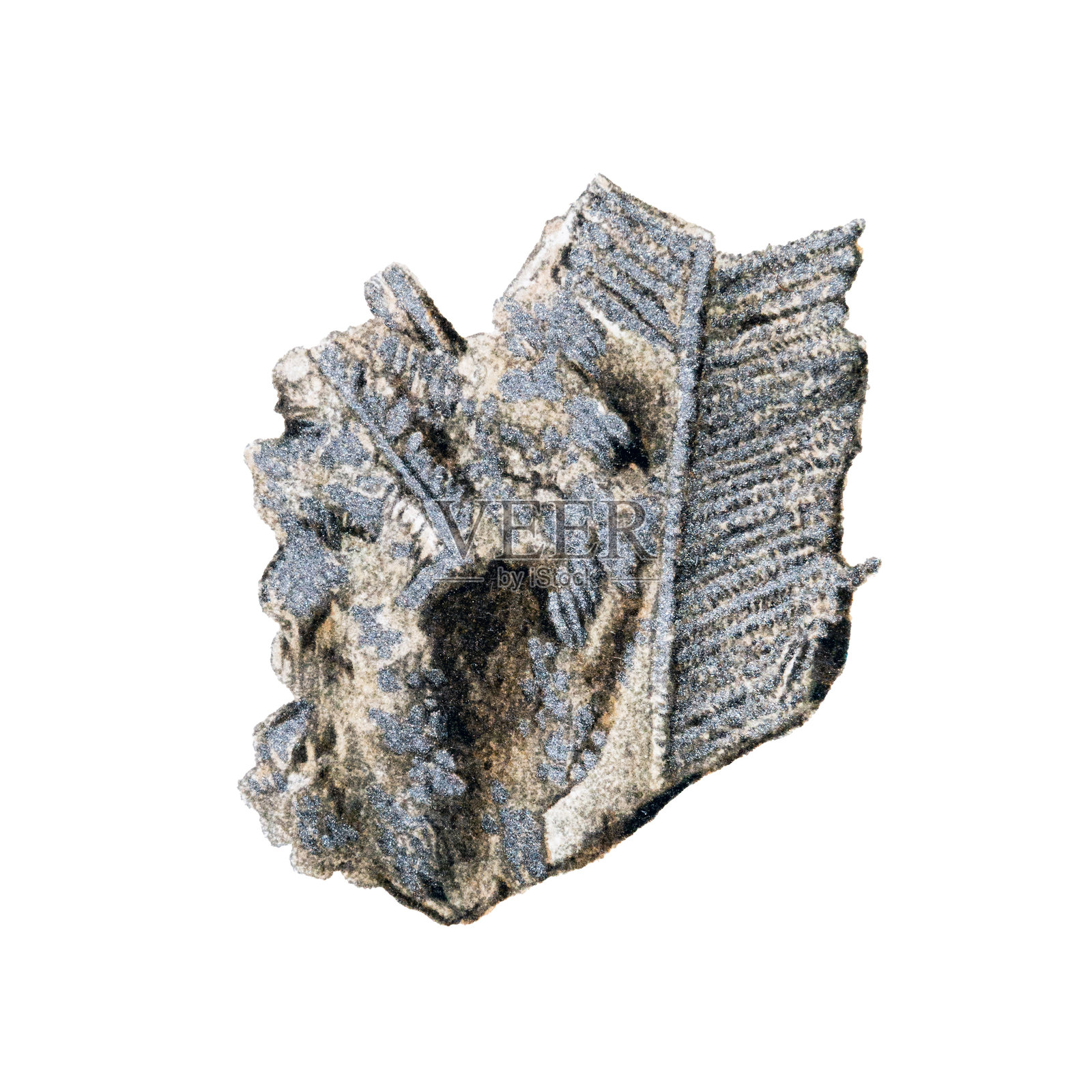 矿物和岩石,银矿石的针织结构(波托西,玻利维亚)插画图片素材